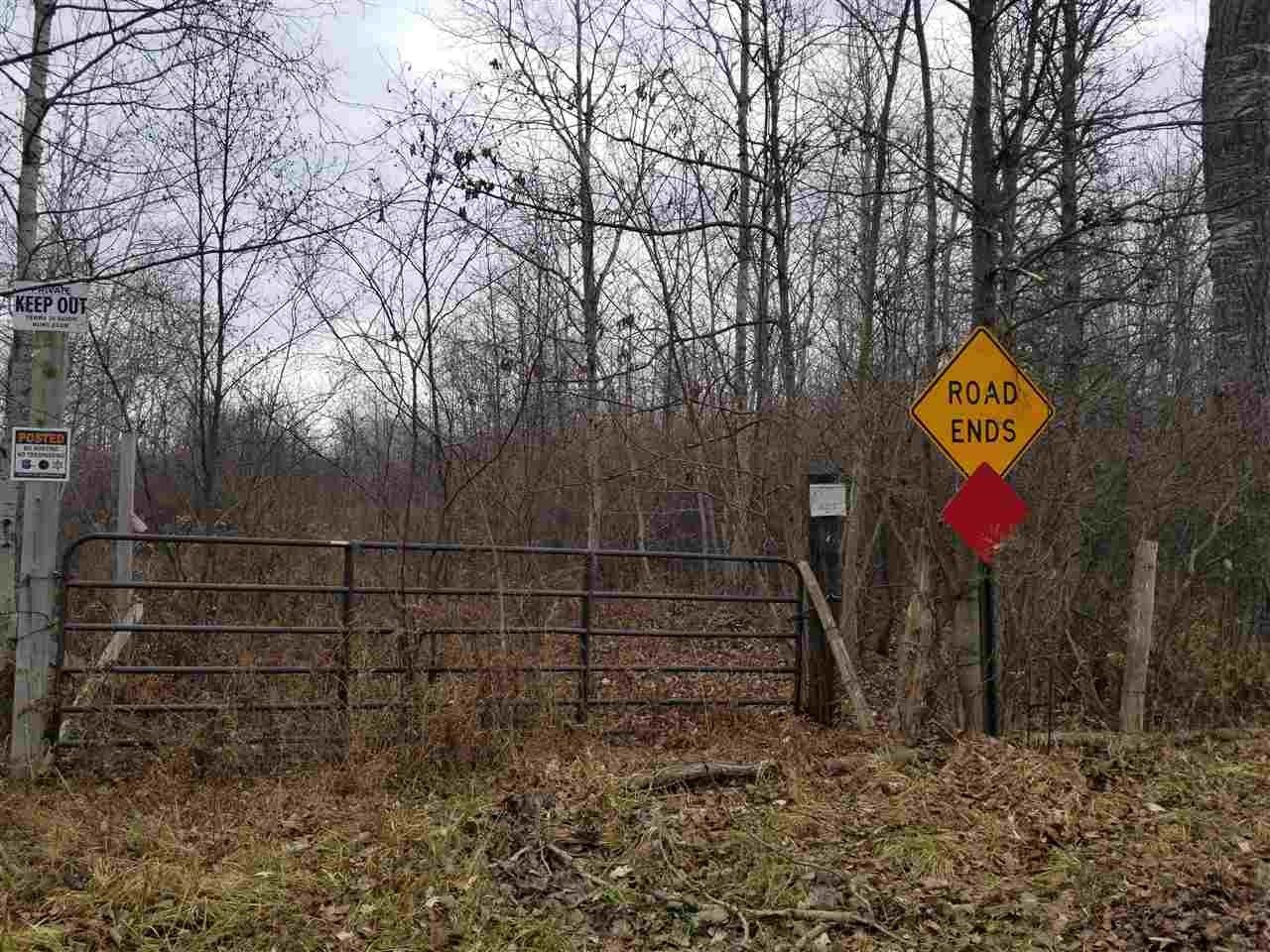 Beaverton, Gladwin County, MI Undeveloped Land for sale Property ID