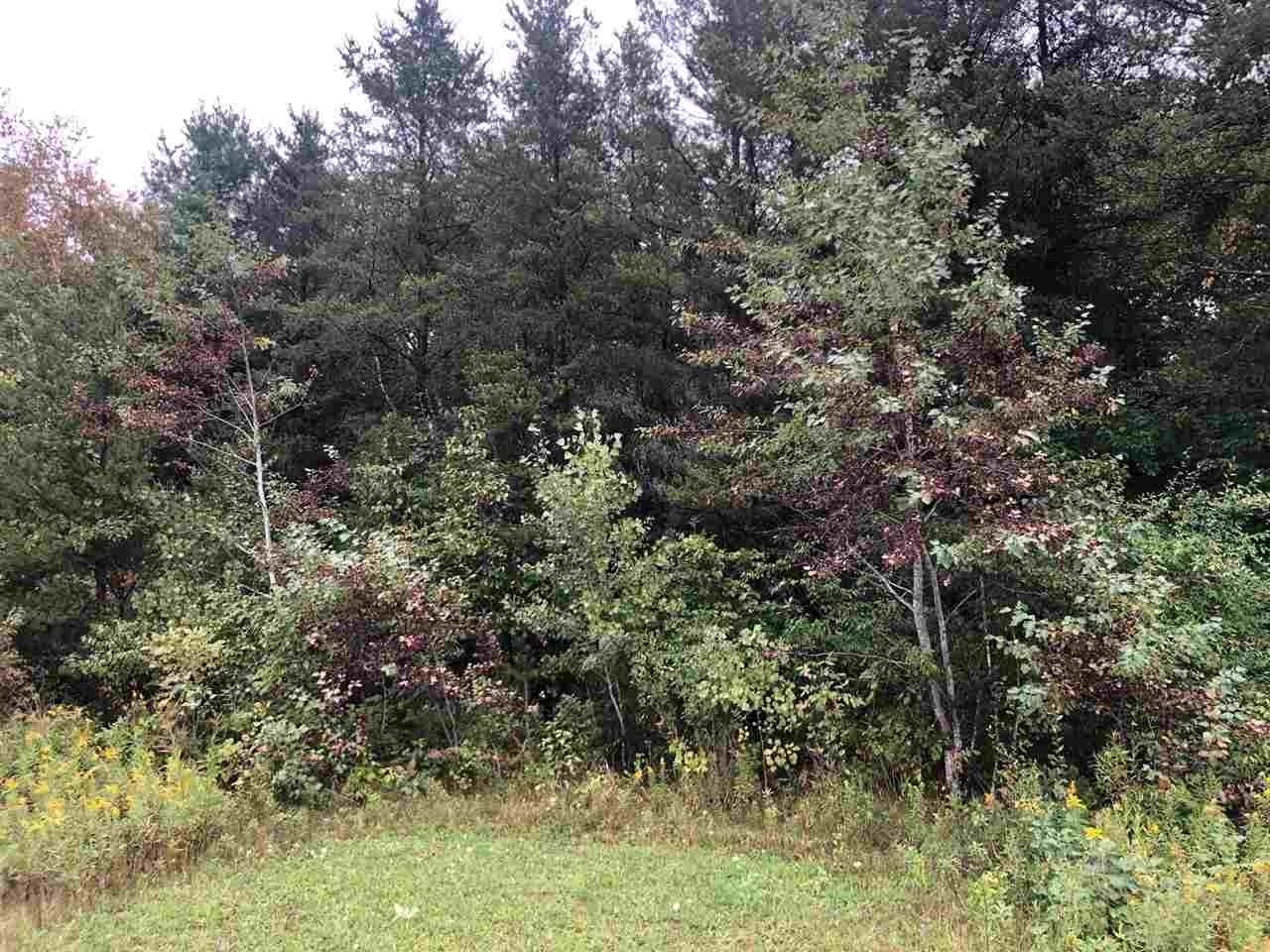 Beaverton, Gladwin County, MI Undeveloped Land, Homesites for sale