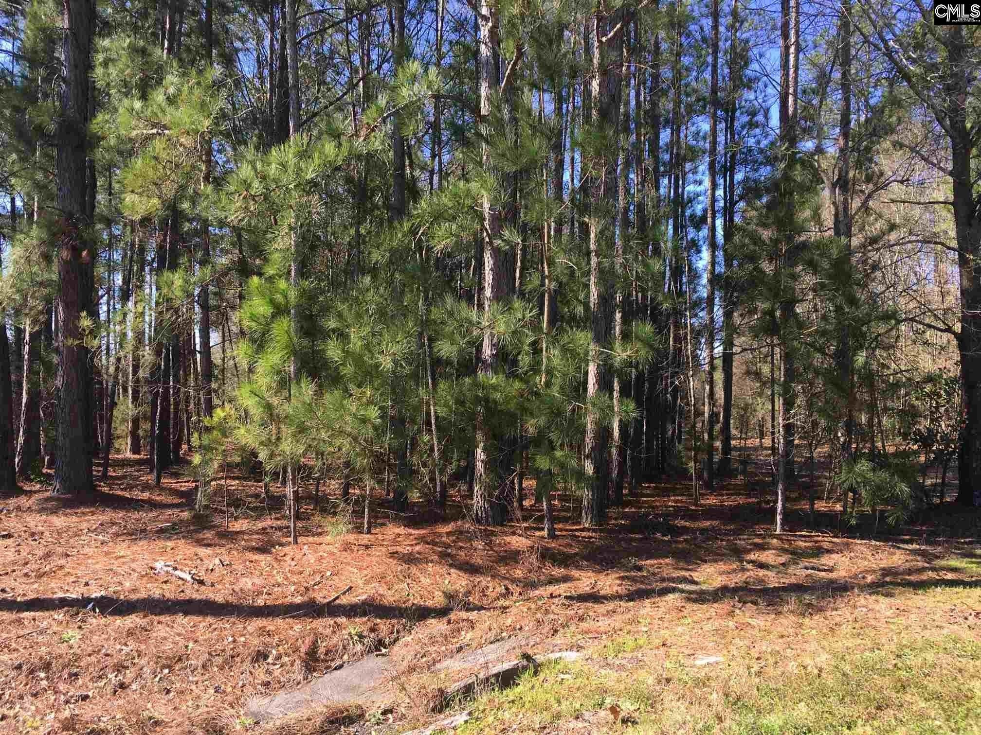 Lexington, Lexington County, SC Undeveloped Land for sale Property ID