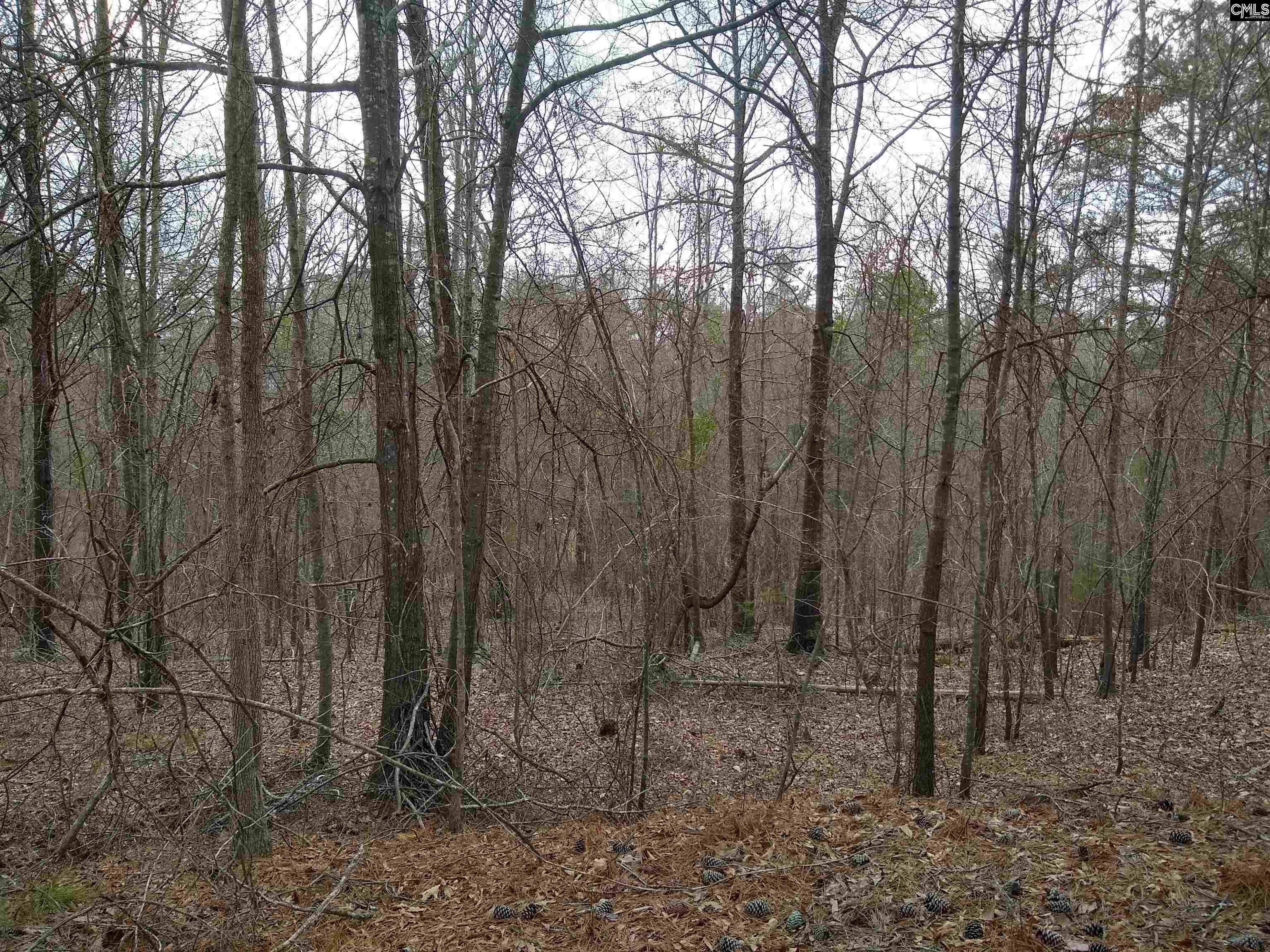 Highway 321, Winnsboro, SC 29180 MLS 535170 LandWatch