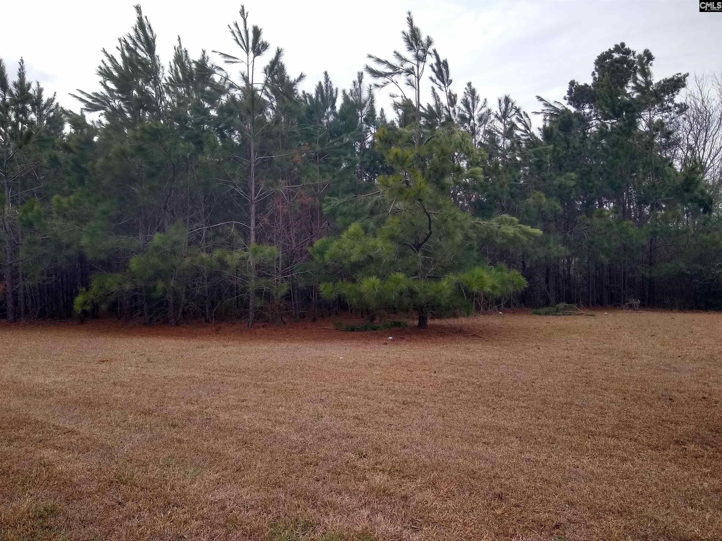 Winnsboro, Fairfield County, SC Commercial Property, Homesites for sale