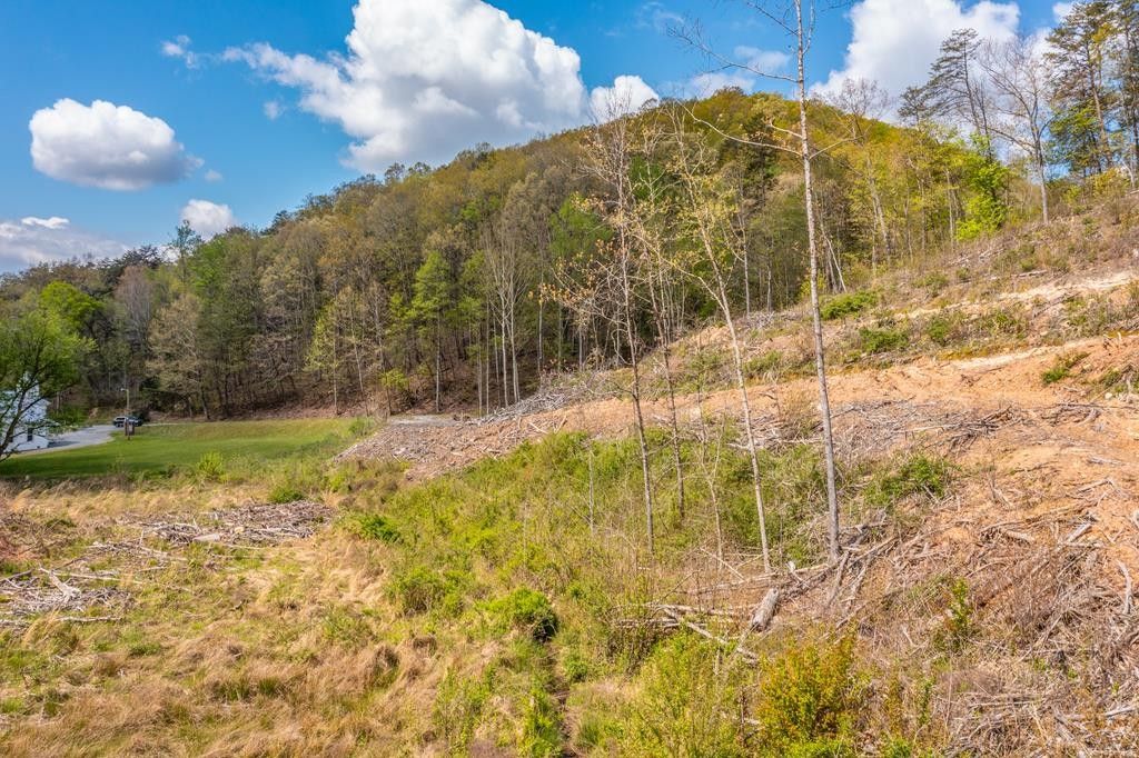 Mohawk, Greene County, TN Undeveloped Land for sale Property ID