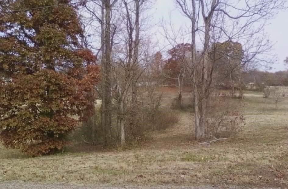 Drummonds, Tipton County, TN Undeveloped Land, Homesites for sale