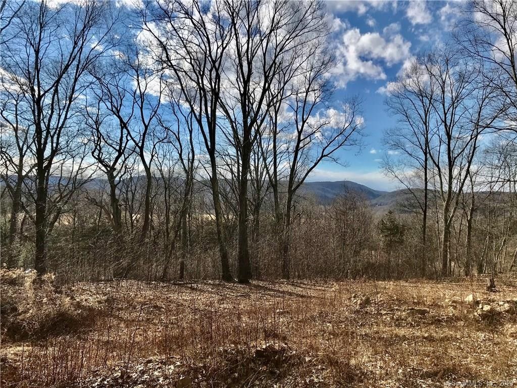 Amenia, Dutchess County, NY Undeveloped Land for sale Property ID