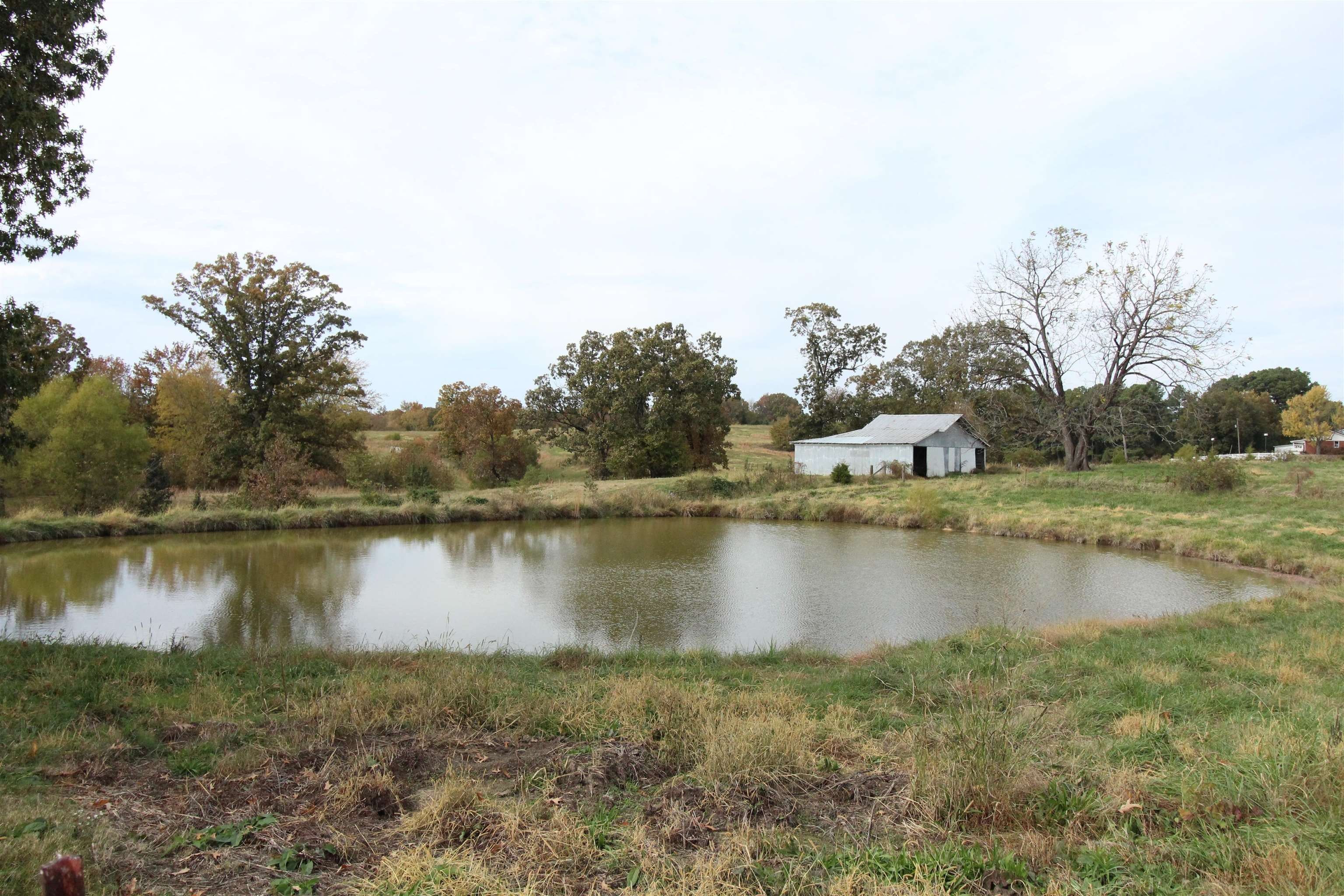 Trenton, Gibson County, TN Farms and Ranches for sale Property ID