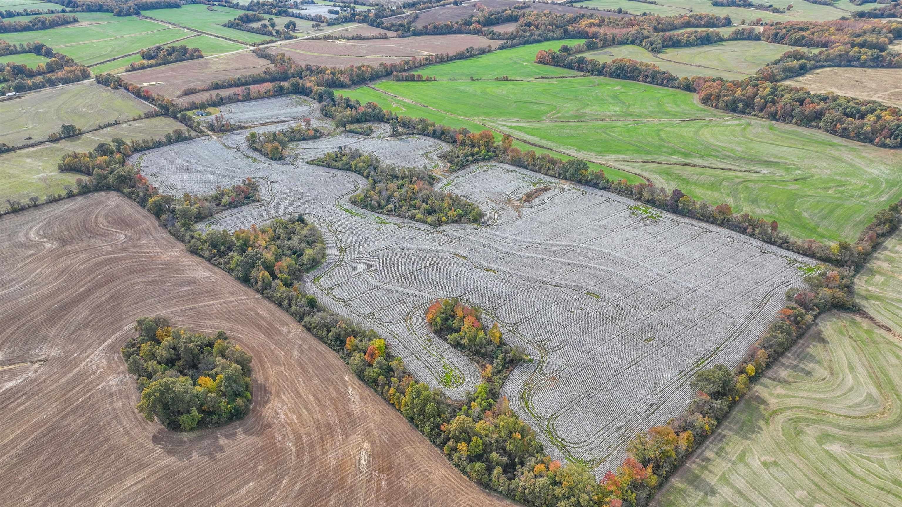 Brownsville, Haywood County, TN Farms and Ranches for sale Property ID