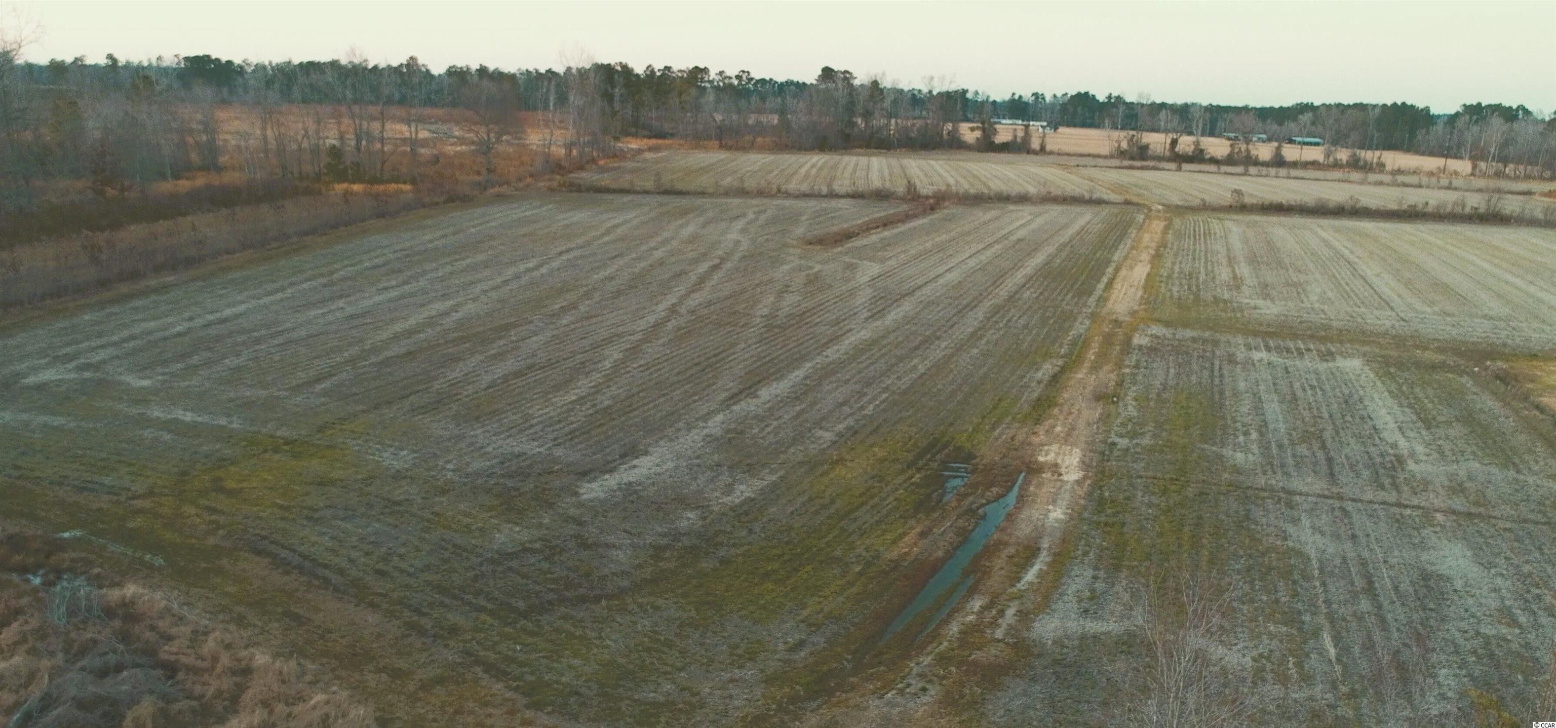 Green Sea, Horry County, SC Farms and Ranches for sale Property ID