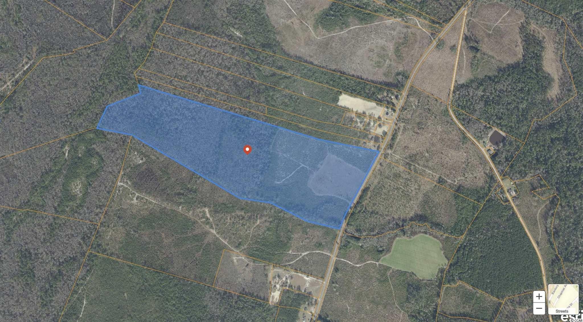 Nichols, Horry County, SC Undeveloped Land for sale Property ID