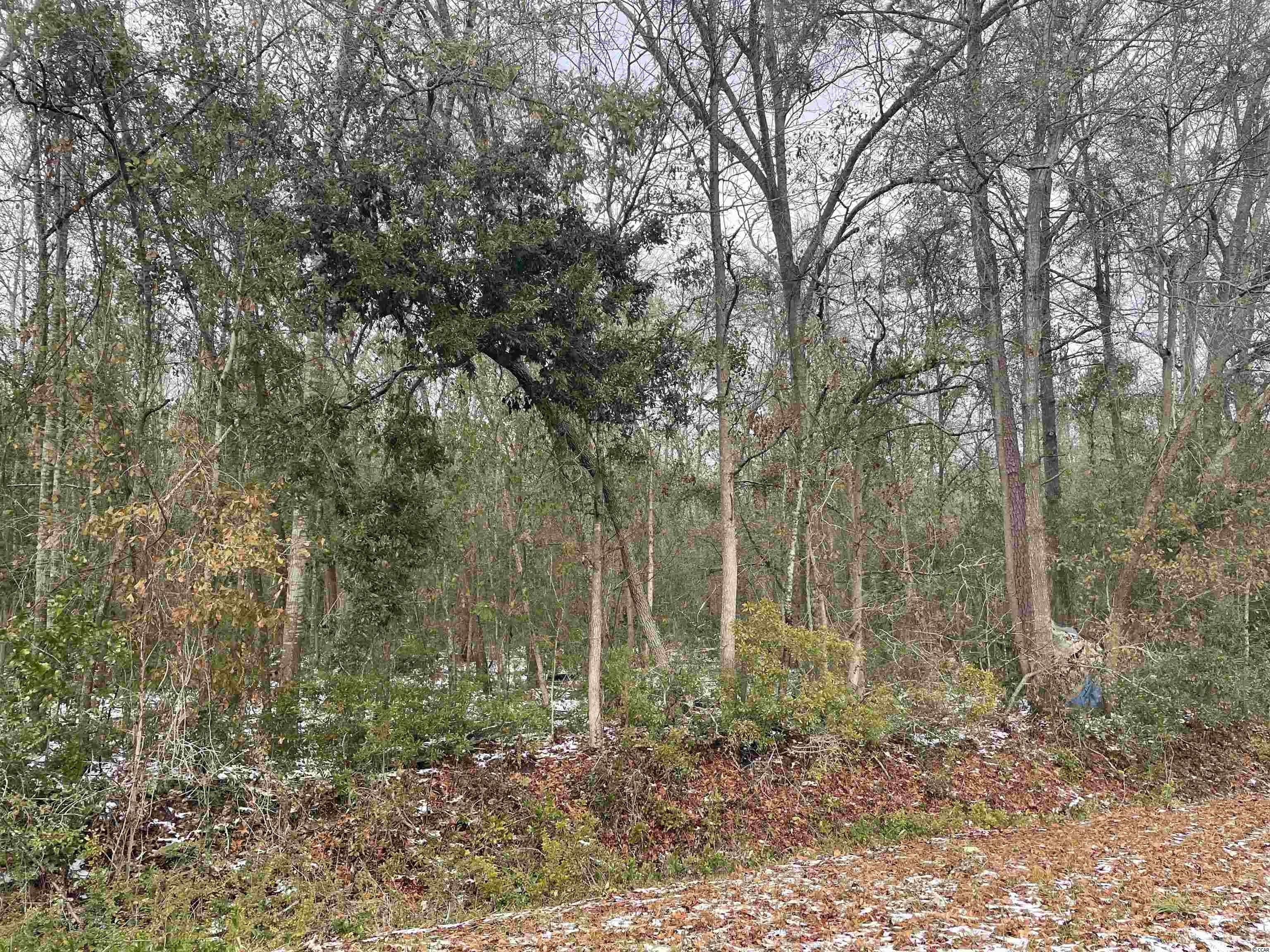 Kingstree, Williamsburg County, SC Undeveloped Land for sale Property