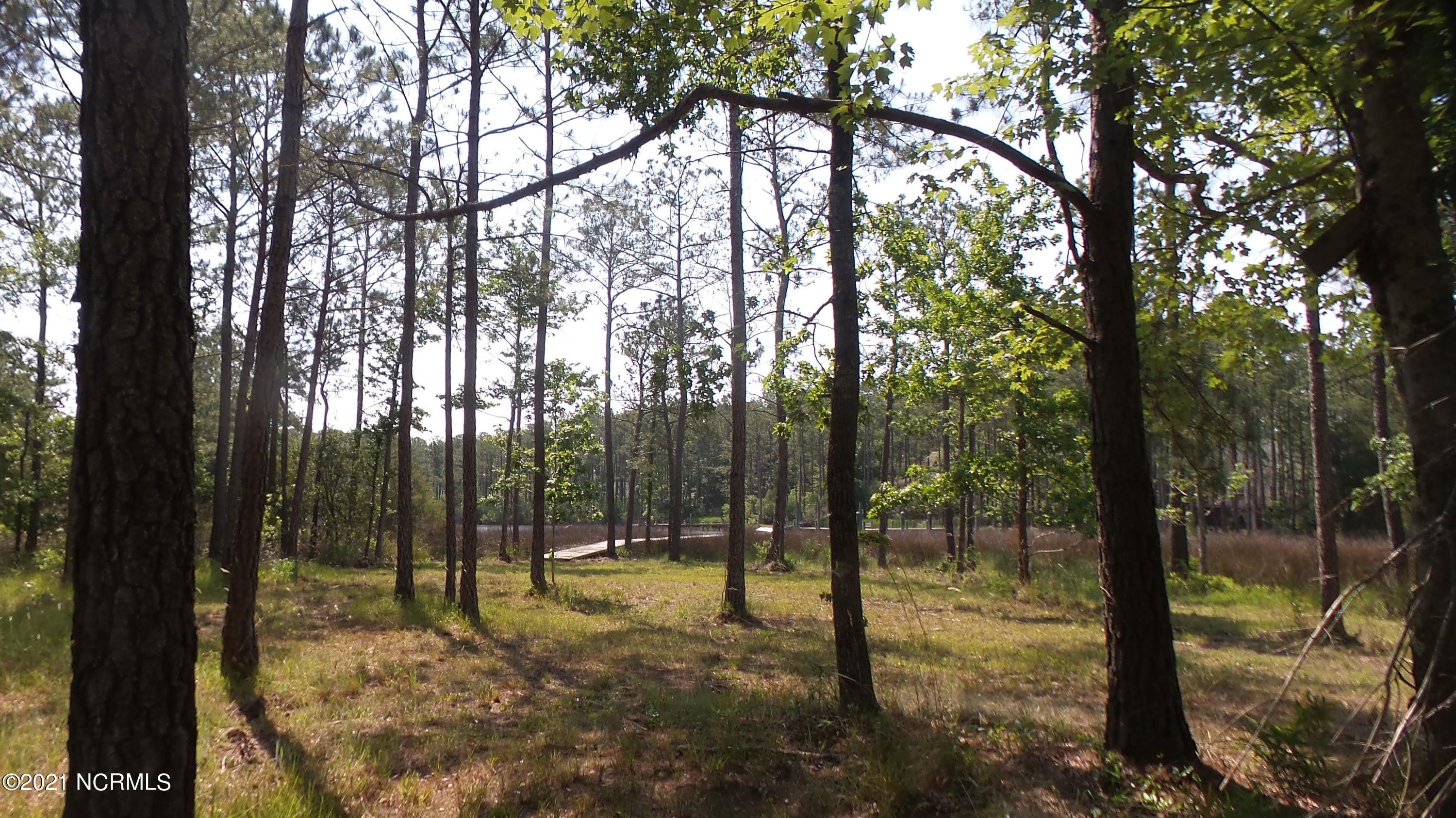 Merritt, Pamlico County, NC Undeveloped Land, Lakefront Property