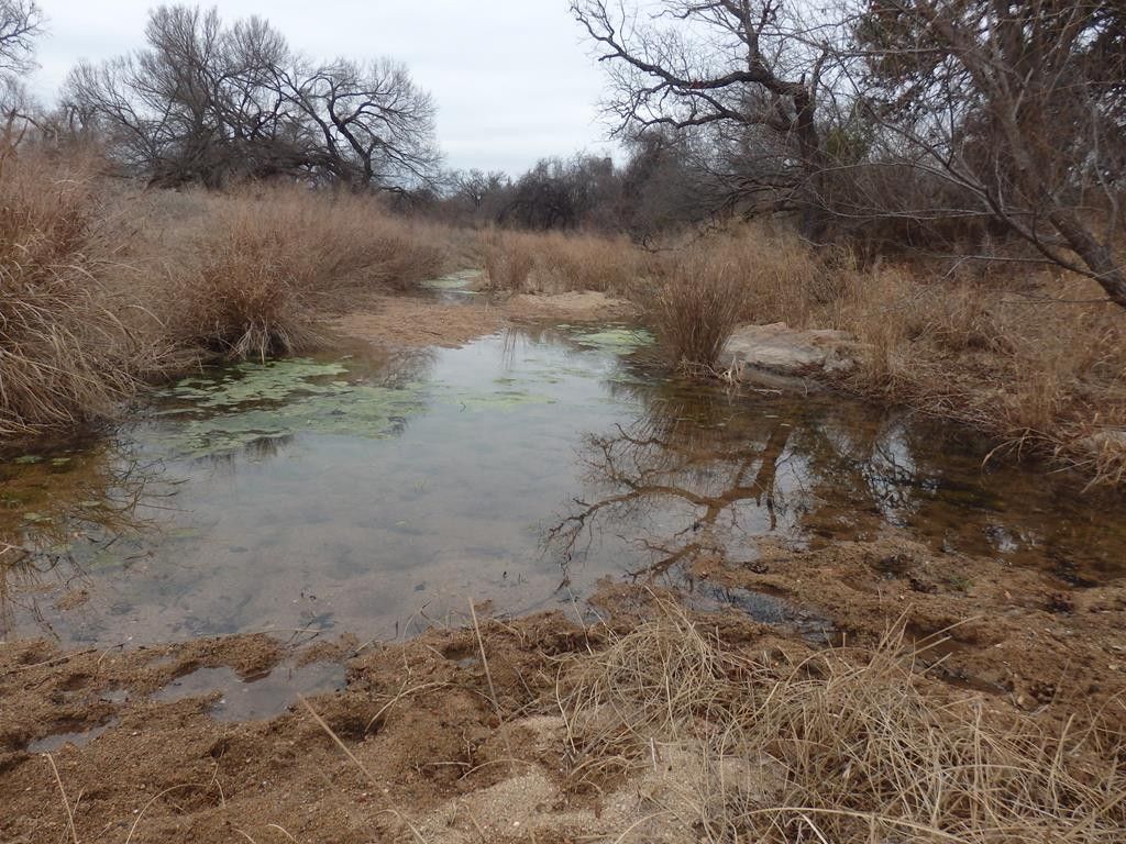 Llano, Llano County, TX Farms and Ranches for sale Property ID