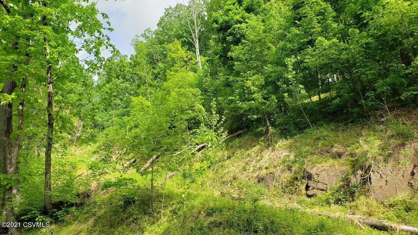 84 RED ROCK Road, Berwick, PA 18603 MLS 2087307 LandWatch