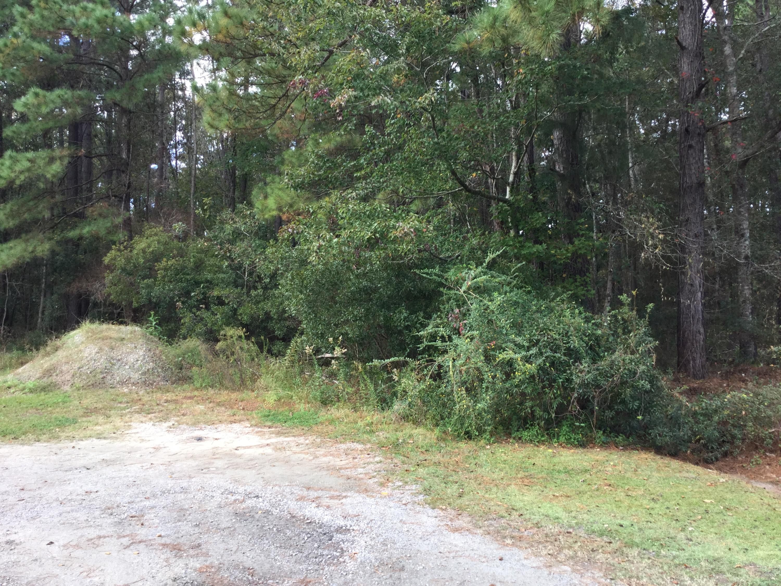 Moncks Corner, Berkeley County, SC Undeveloped Land, Homesites for sale