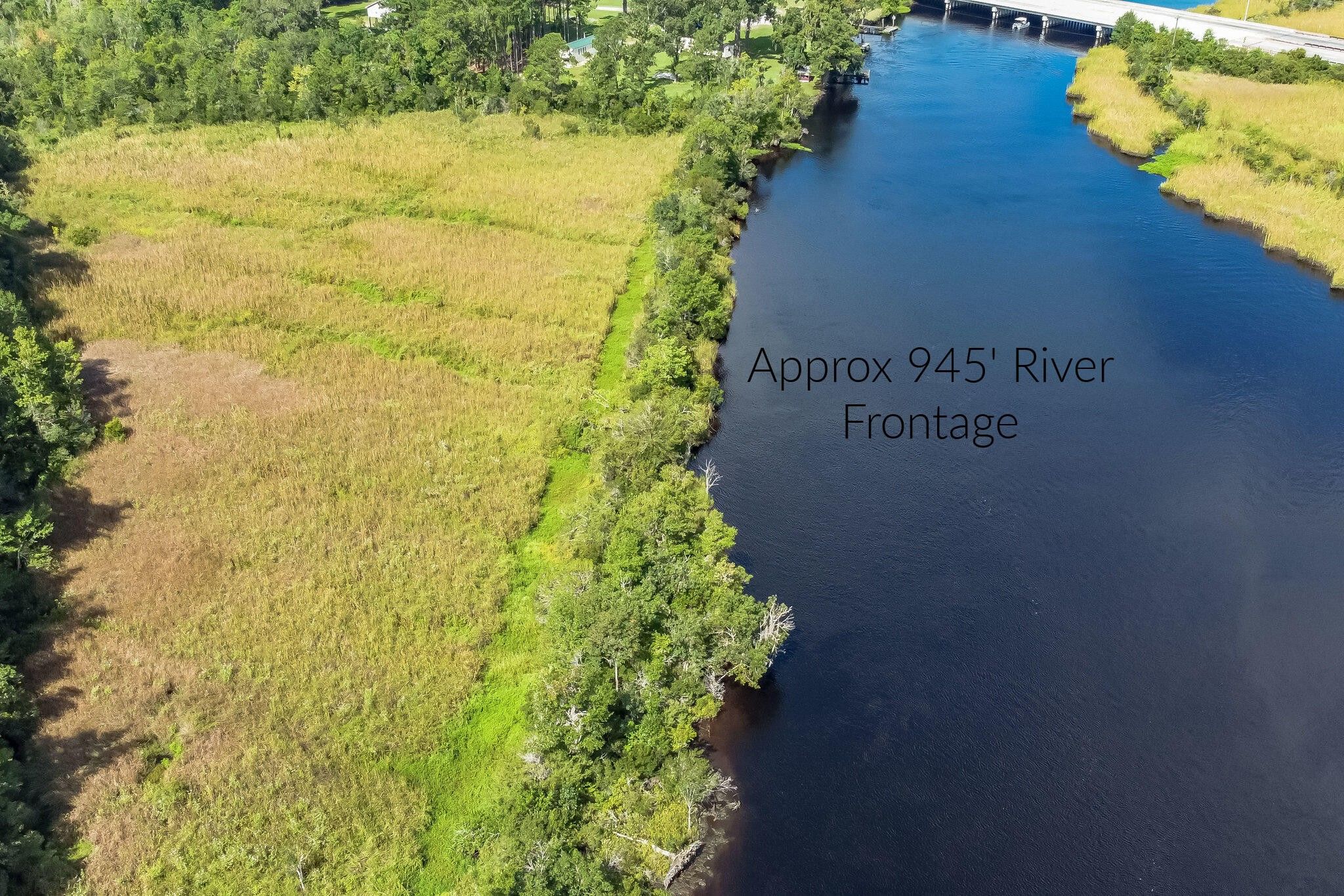 Green Pond Colleton County SC Undeveloped Land Lakefront Property 