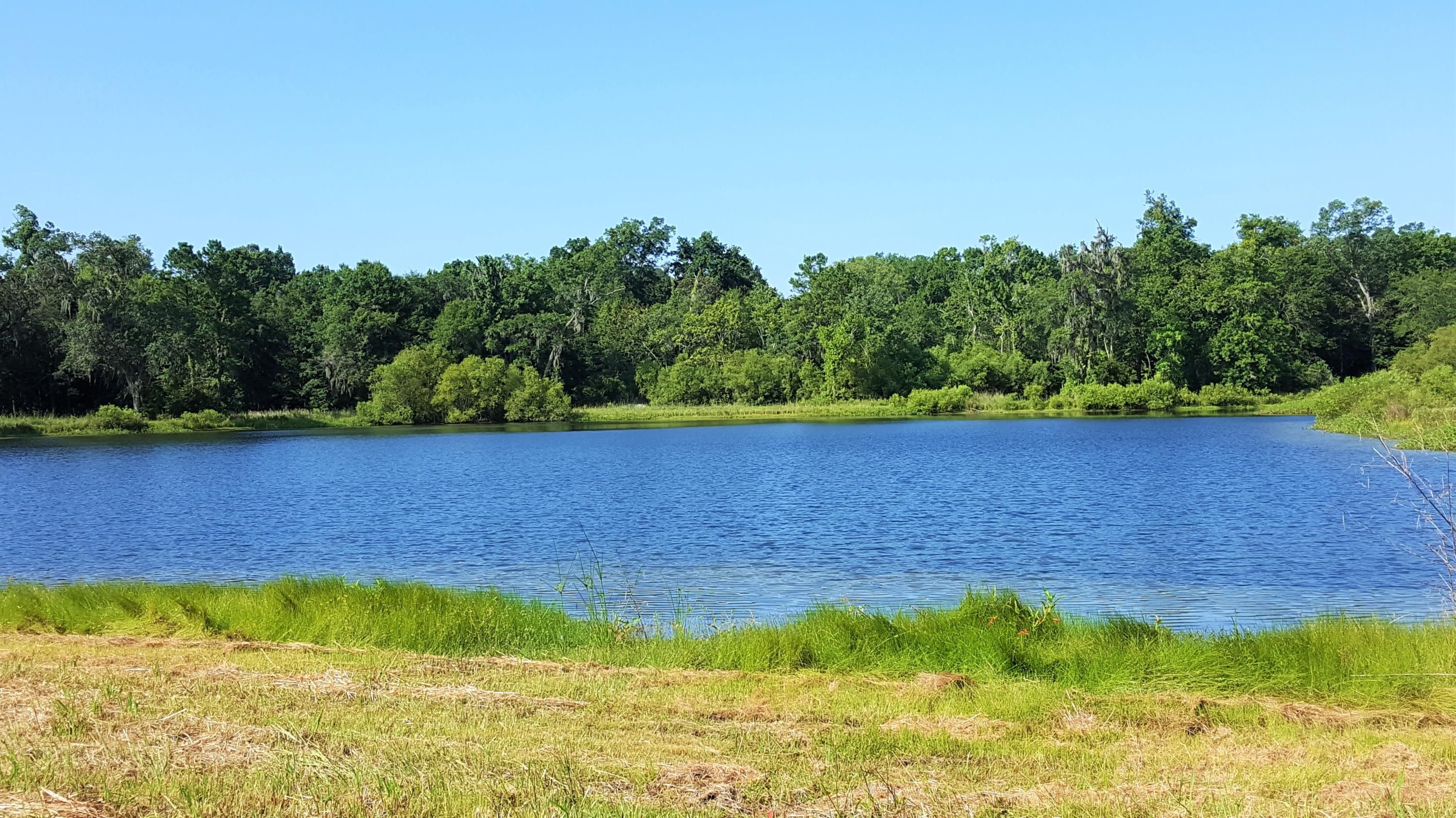 Johns Island, Charleston County, SC Undeveloped Land, Lakefront