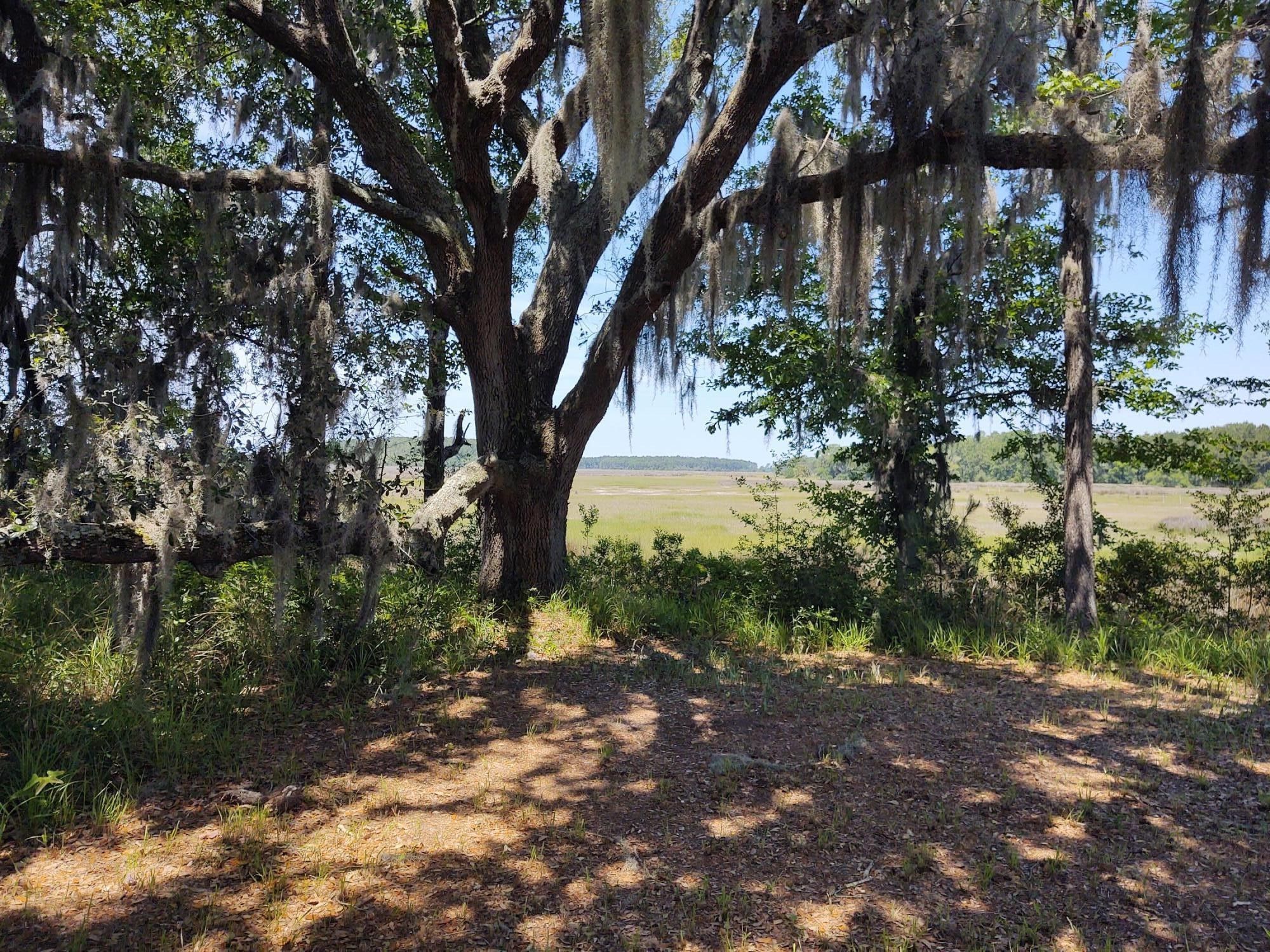 Green Pond, Colleton County, SC Undeveloped Land, Homesites for sale