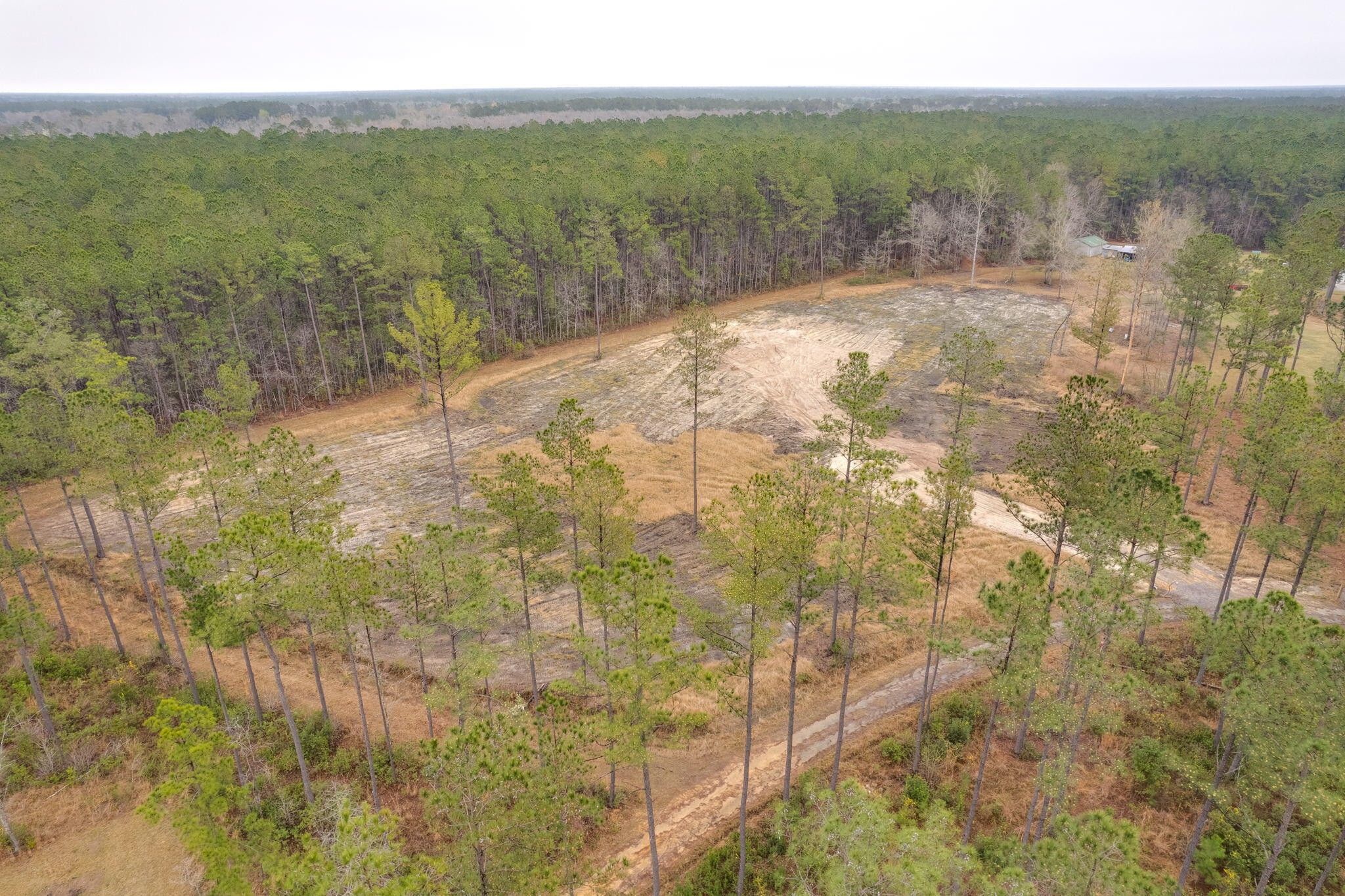 Bonneau, Berkeley County, SC Undeveloped Land, Homesites for sale