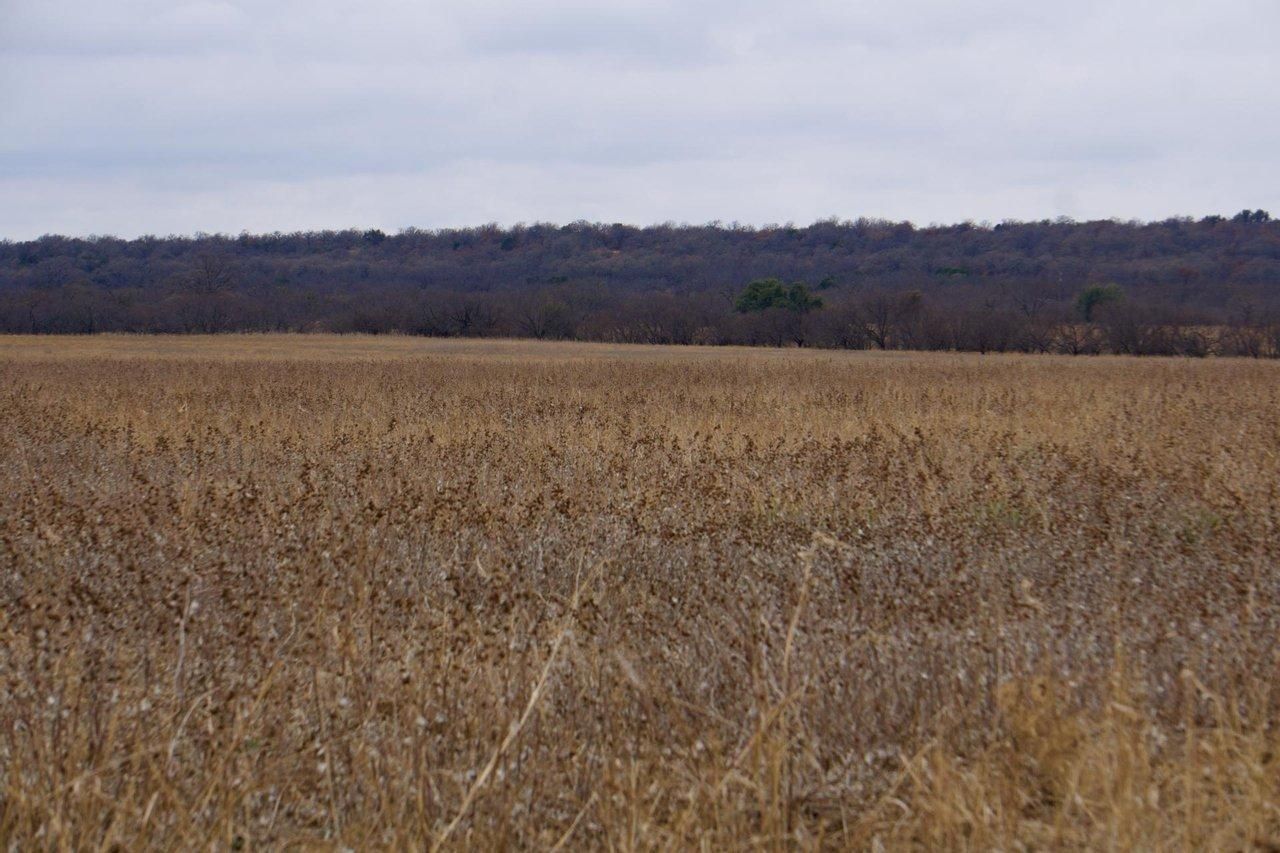 Caddo, Stephens County, TX Farms and Ranches, Hunting Property for sale