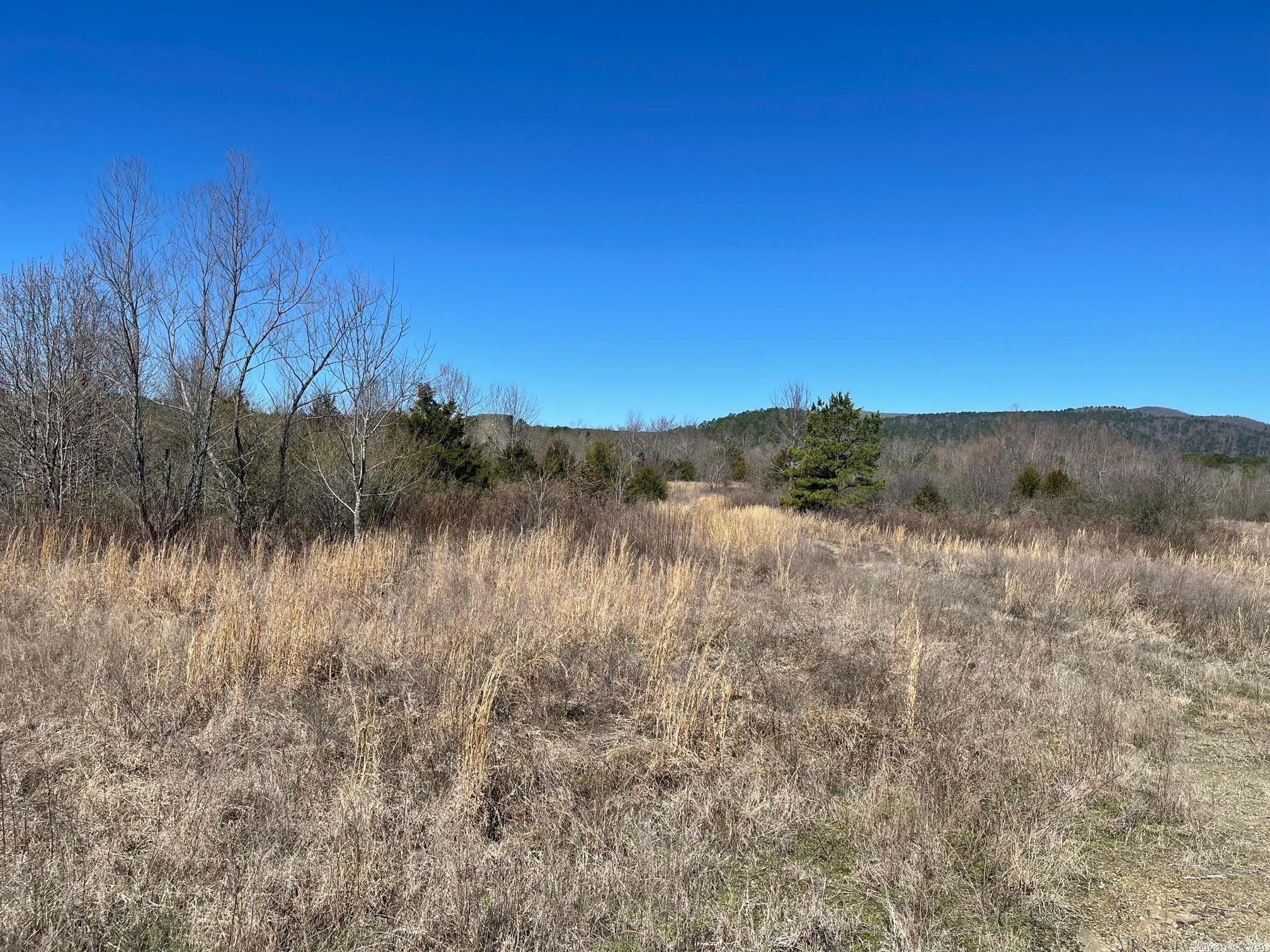 Mena, Polk County, AR Undeveloped Land, Commercial Property for sale