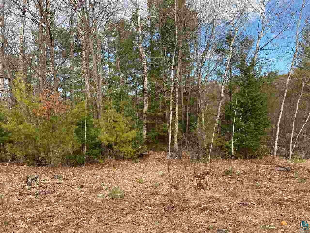 Lake Nebagamon, Douglas County, WI for sale Property ID 409329438