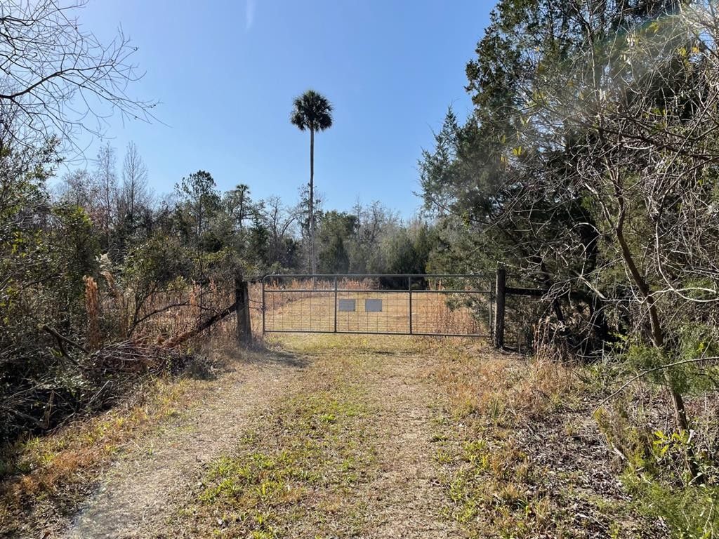 Cedar Key, Levy County, FL Undeveloped Land for sale Property ID