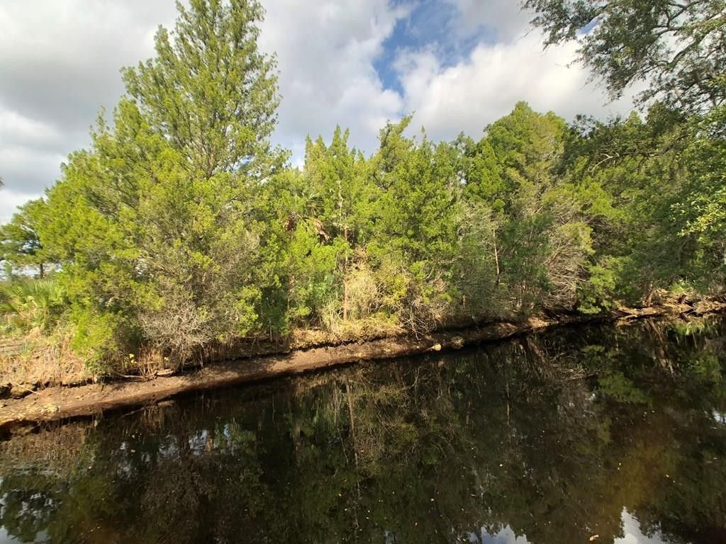 Steinhatchee, Taylor County, FL Undeveloped Land, Lakefront Property