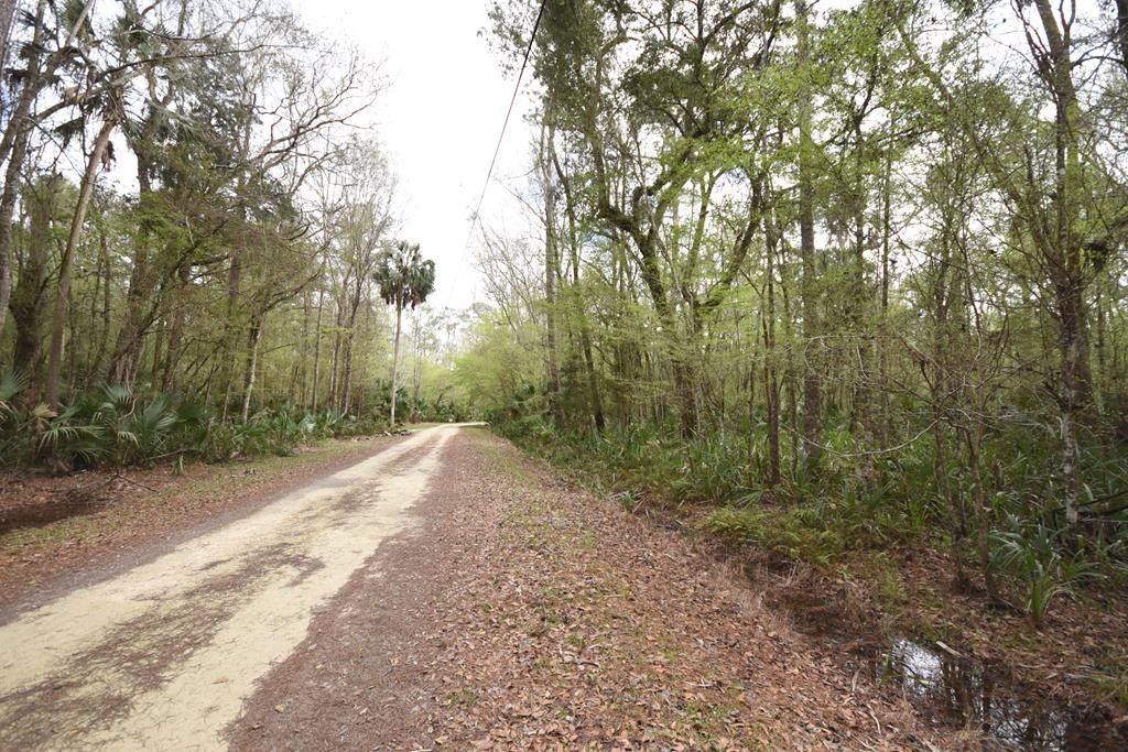 Steinhatchee, Taylor County, FL Undeveloped Land, Lakefront Property