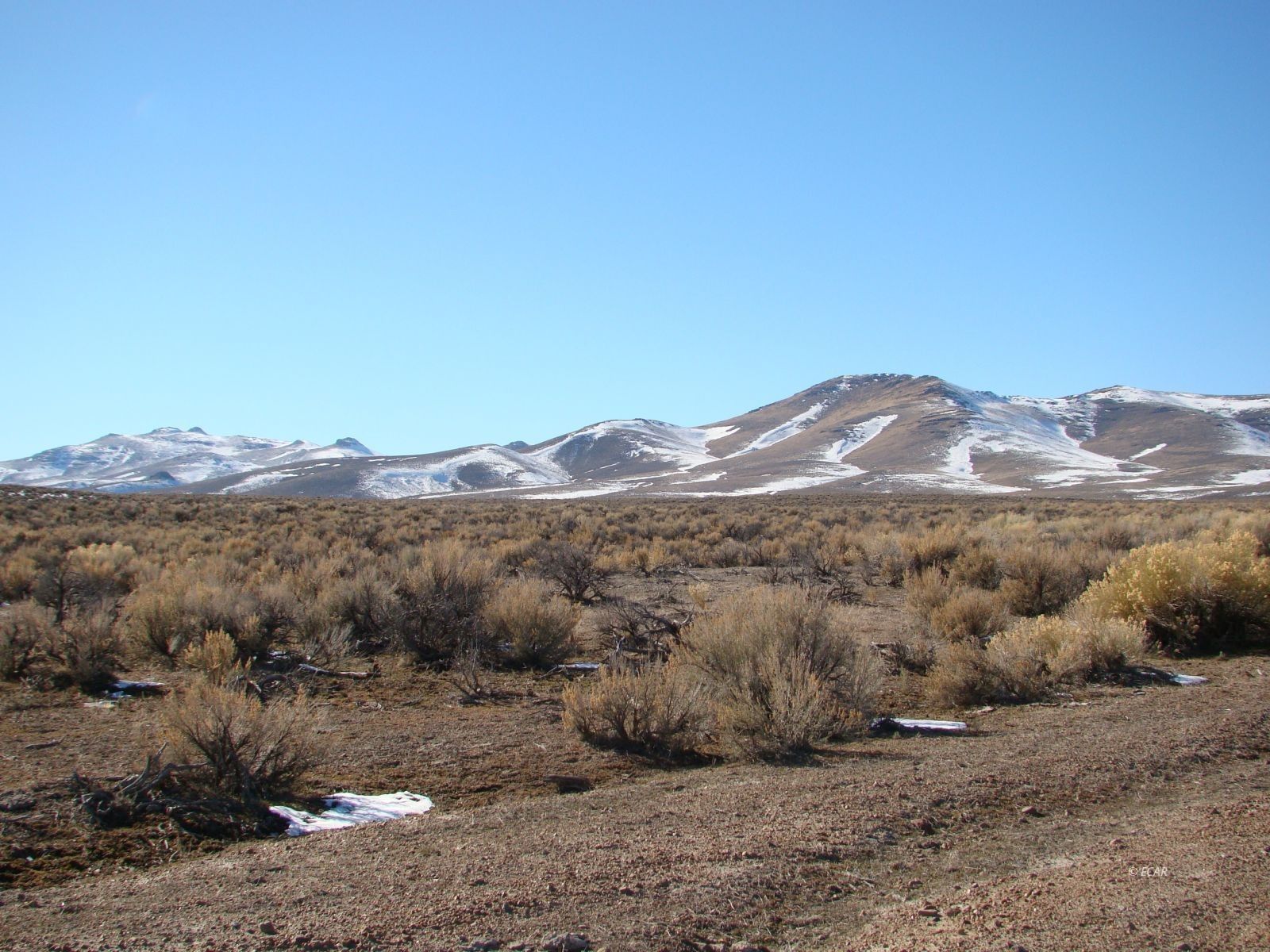 Ryndon, Elko County, NV Undeveloped Land for sale Property ID