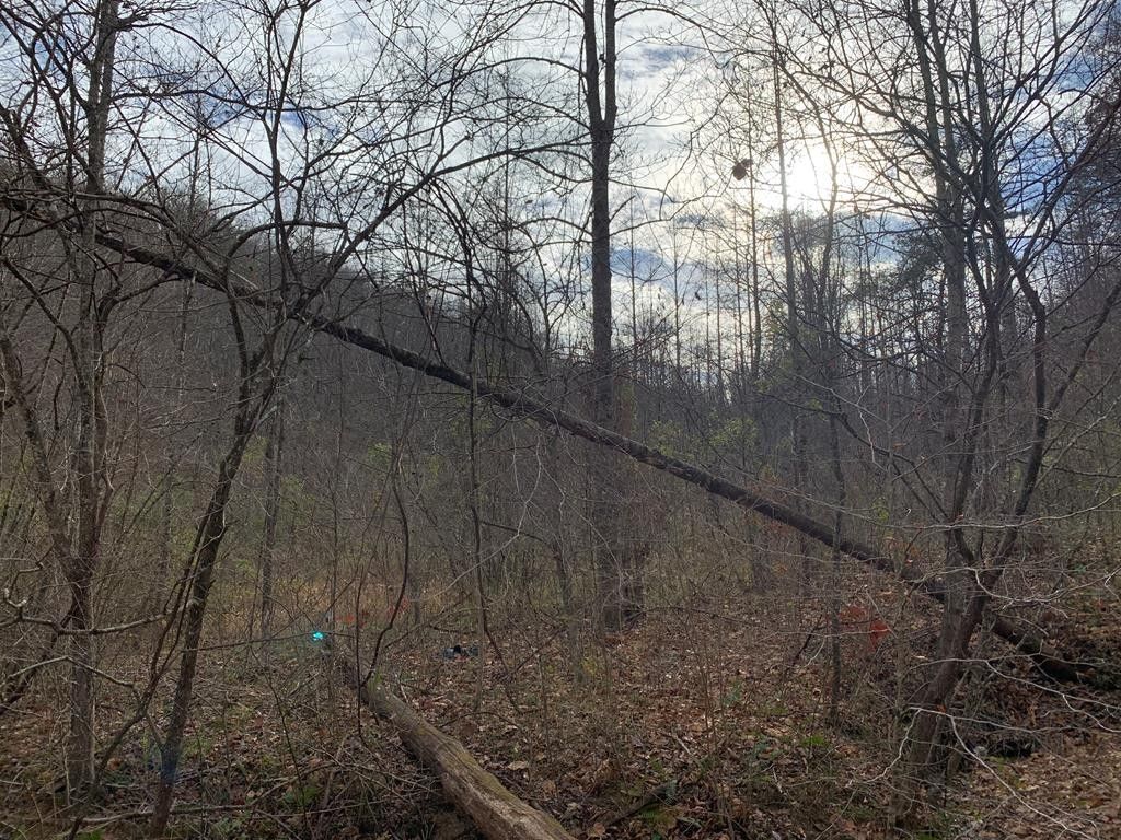 Lowmansville, Johnson County, KY Undeveloped Land for sale Property ID