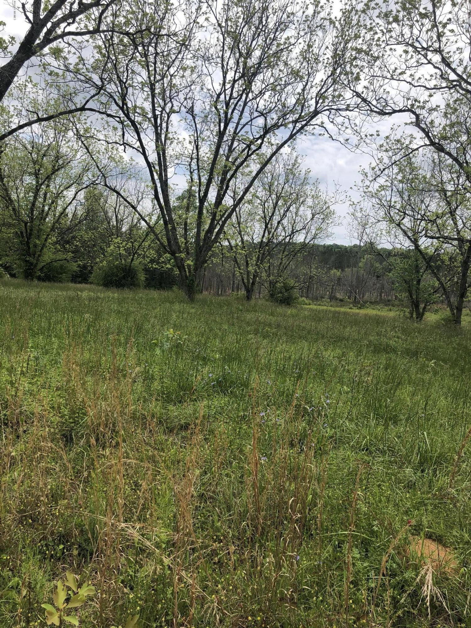 Union, Neshoba County, MS Farms and Ranches for sale Property ID