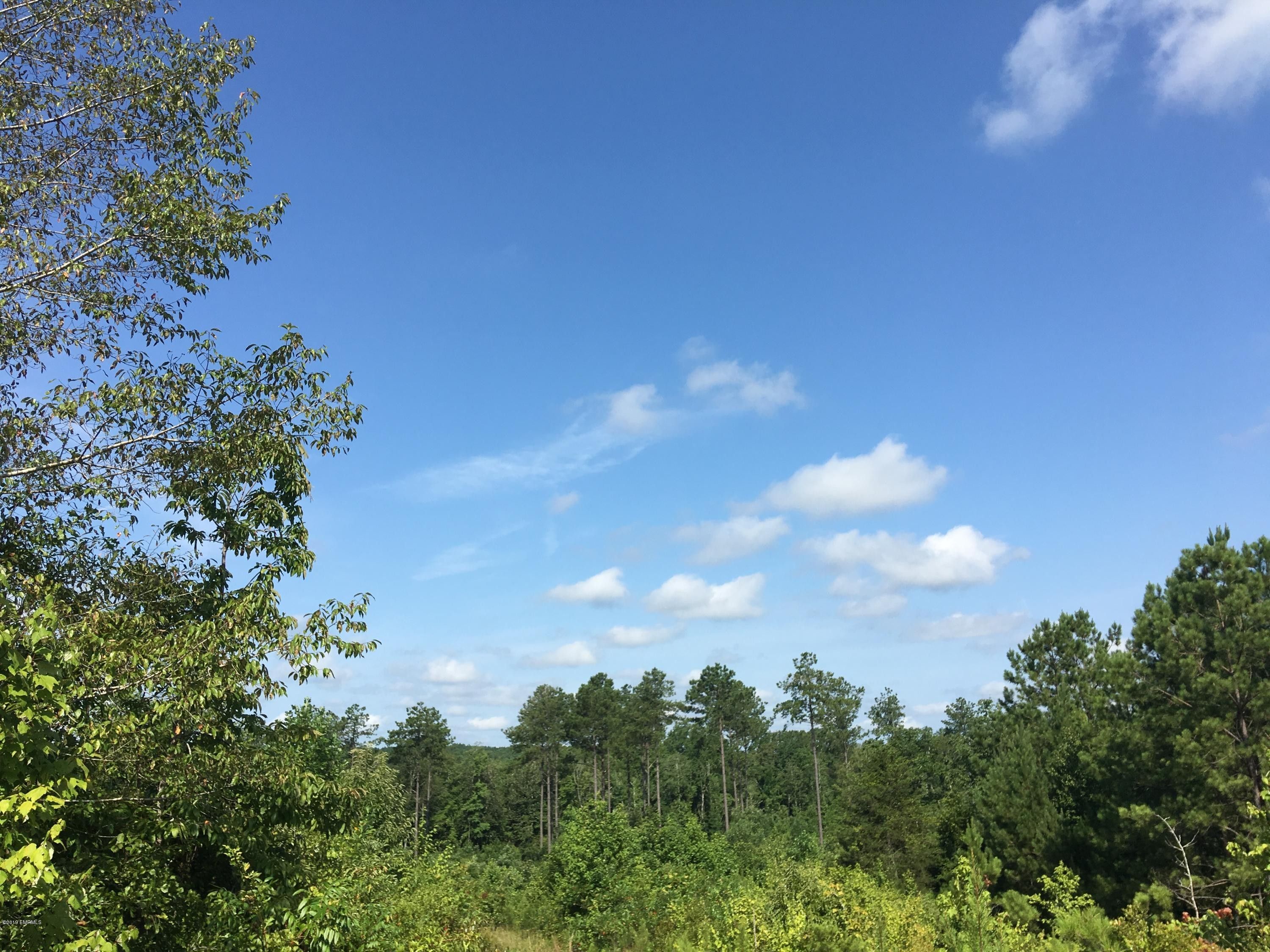 Meridian, Lauderdale County, MS Undeveloped Land, Homesites for sale Property ID 336182588