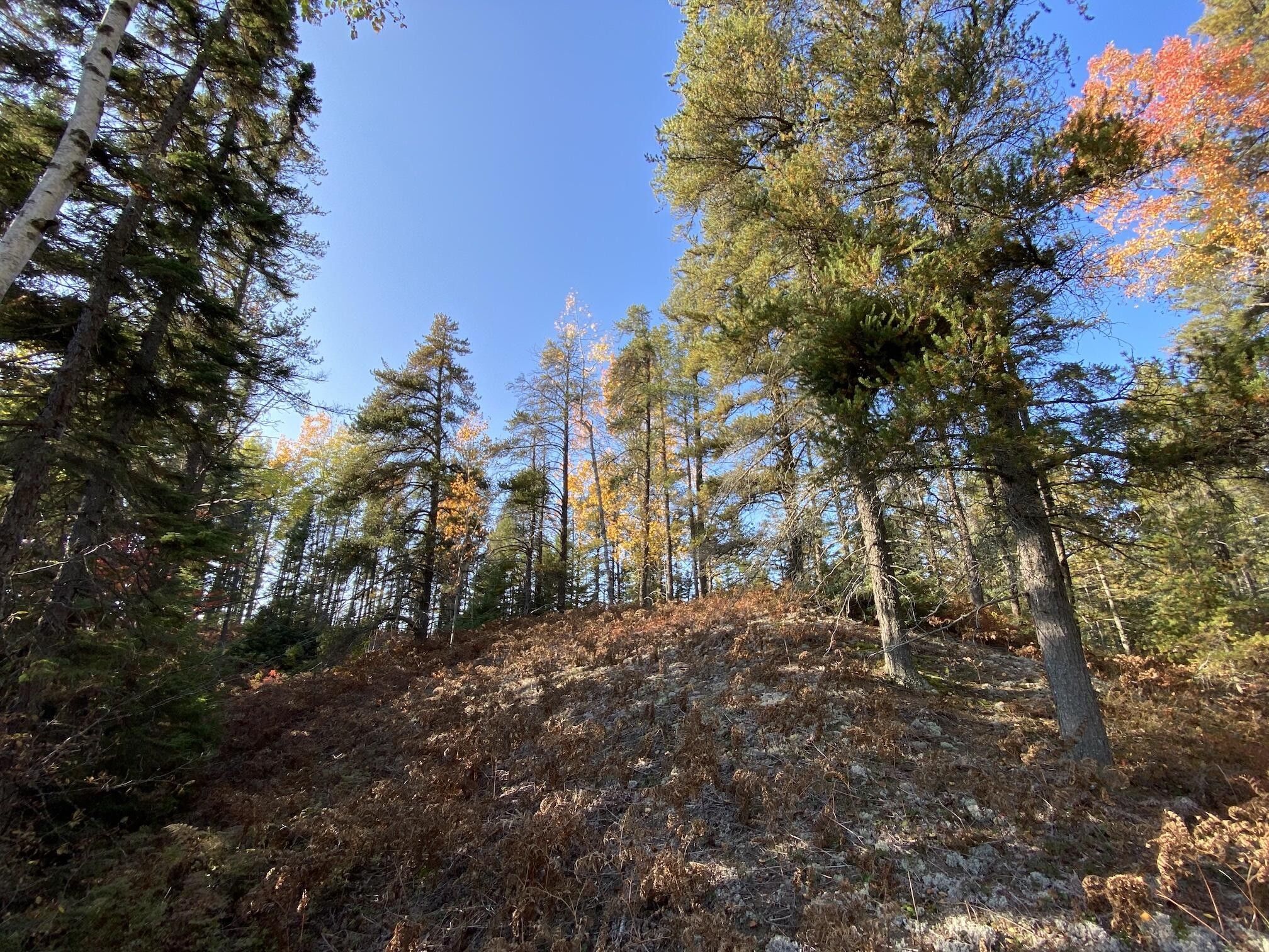 Paradise, Chippewa County, MI Undeveloped Land for sale Property ID