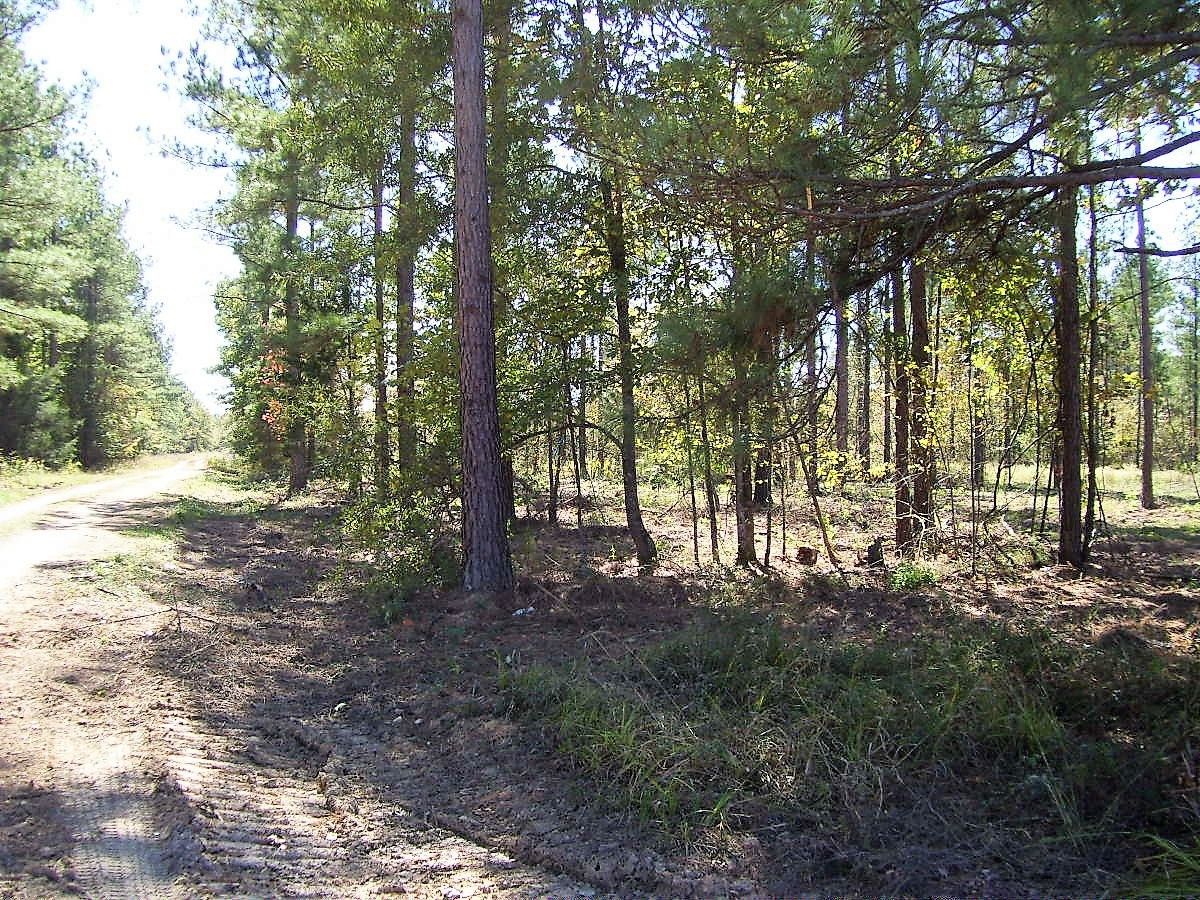 Ashdown, Little River County, AR Farms and Ranches for sale Property ID