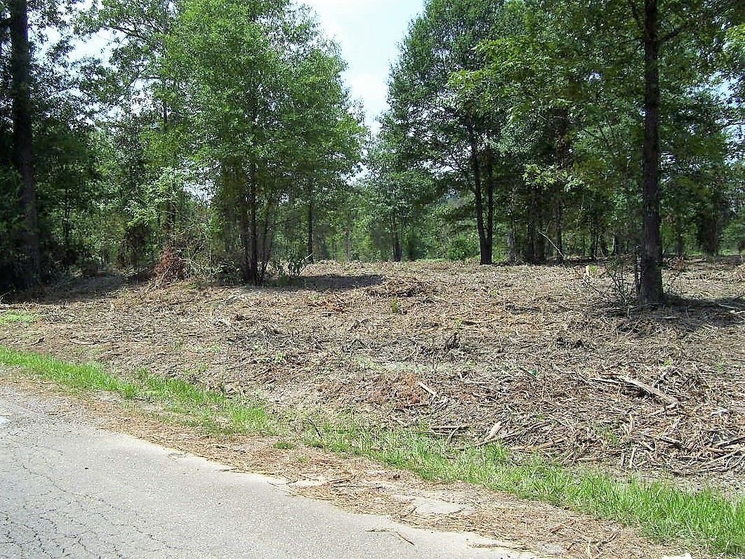 Ashdown, Little River County, AR Undeveloped Land for sale Property ID