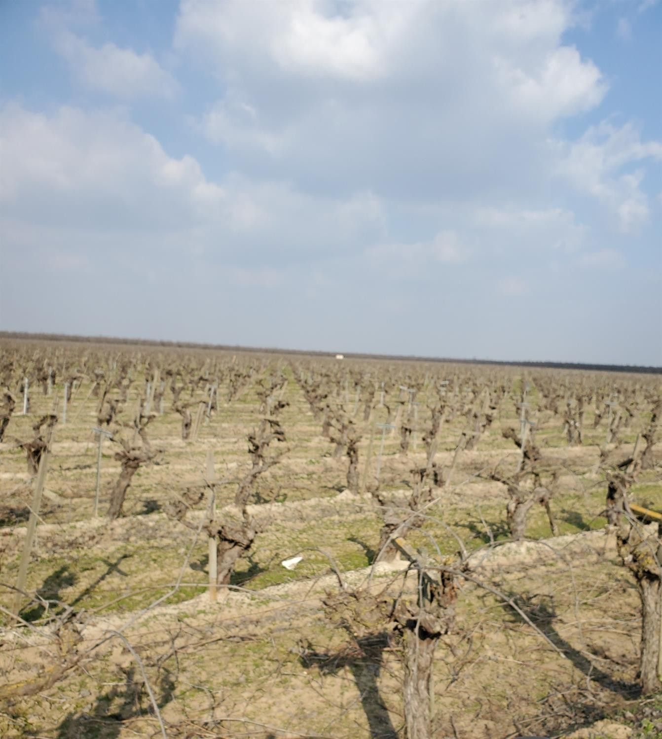 Madera, Madera County, CA Farms and Ranches for sale Property ID