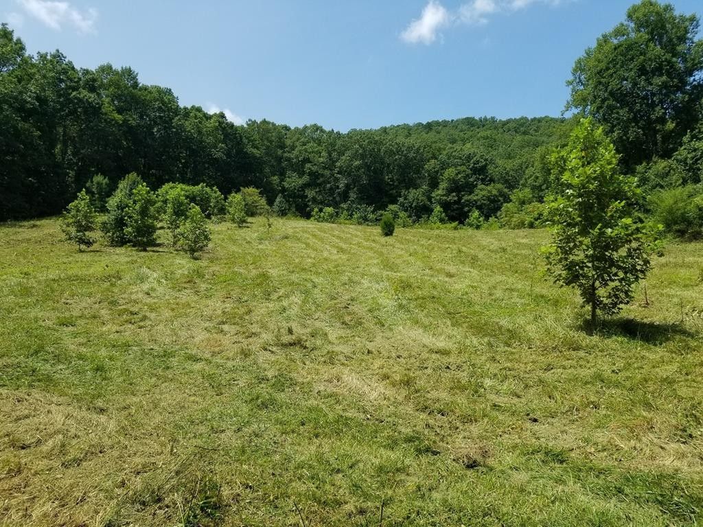 Murphy, Cherokee County, NC Undeveloped Land for sale Property ID