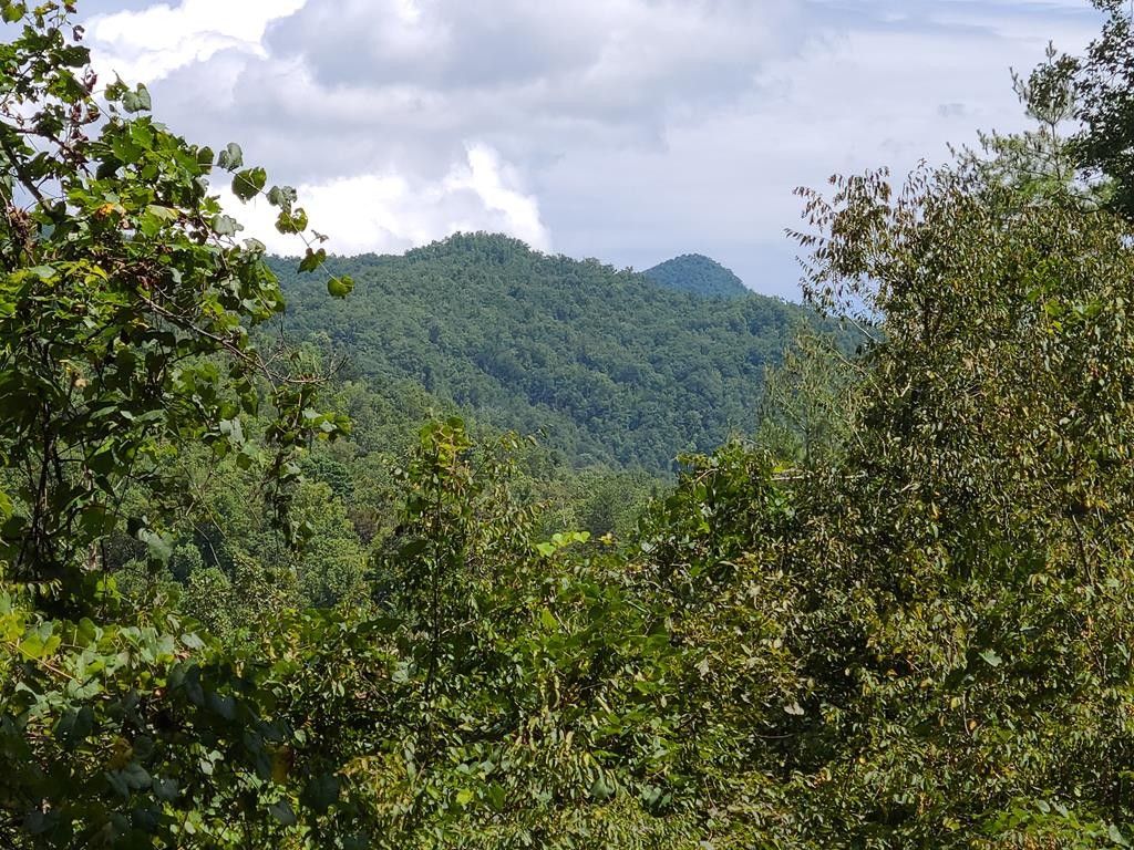 Franklin, Macon County, NC Undeveloped Land for sale Property ID