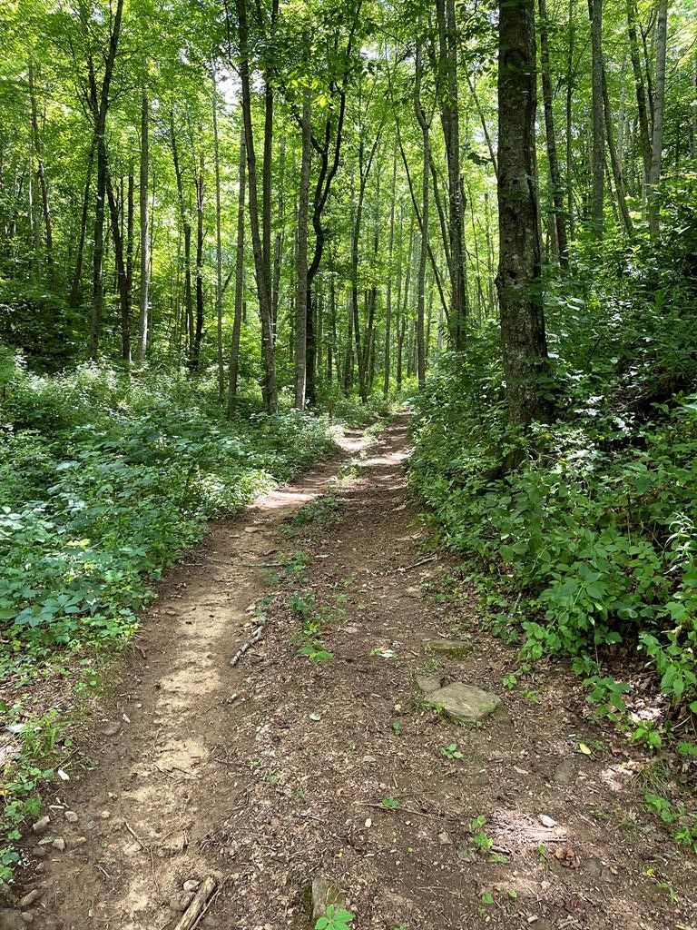 Clyde, Haywood County, NC Farms and Ranches for sale Property ID