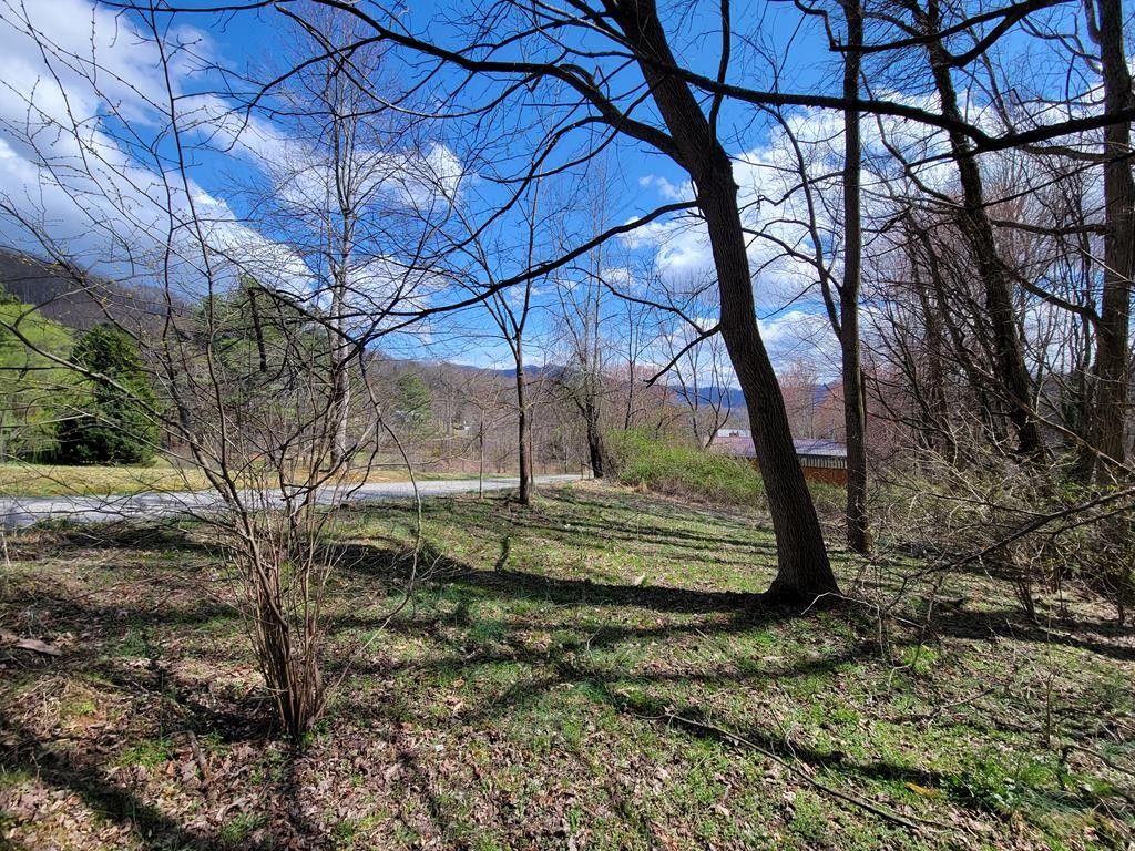 Waynesville, Haywood County, NC Undeveloped Land, Homesites for sale