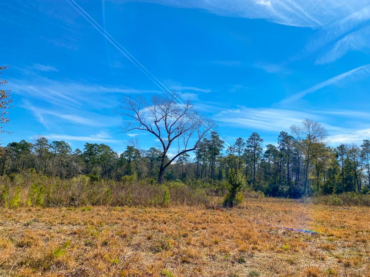 Willis, San Jacinto County, TX Recreational Property, Undeveloped Land