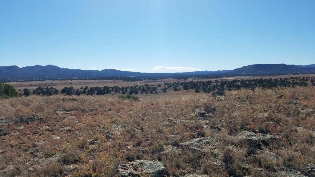 Datil, Catron County, NM Farms and Ranches for sale Property ID