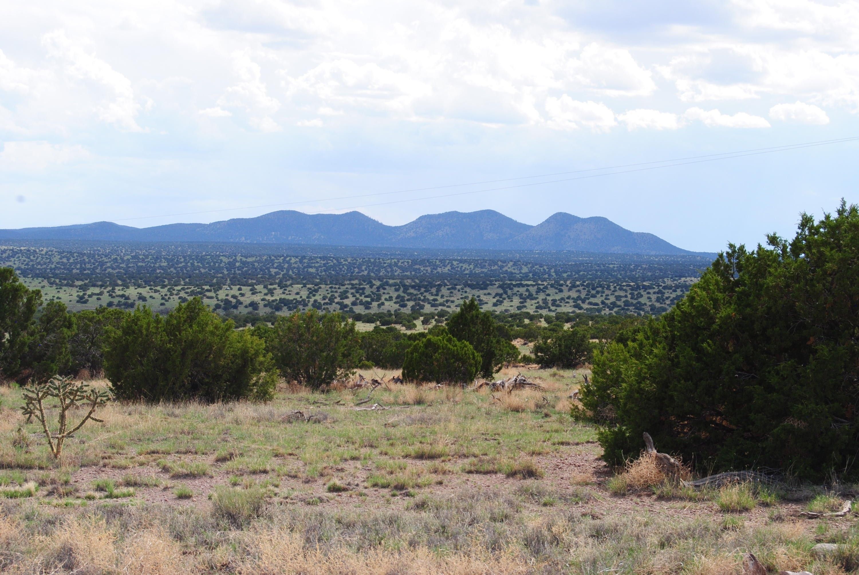 Magdalena, Socorro County, NM Undeveloped Land for sale Property ID