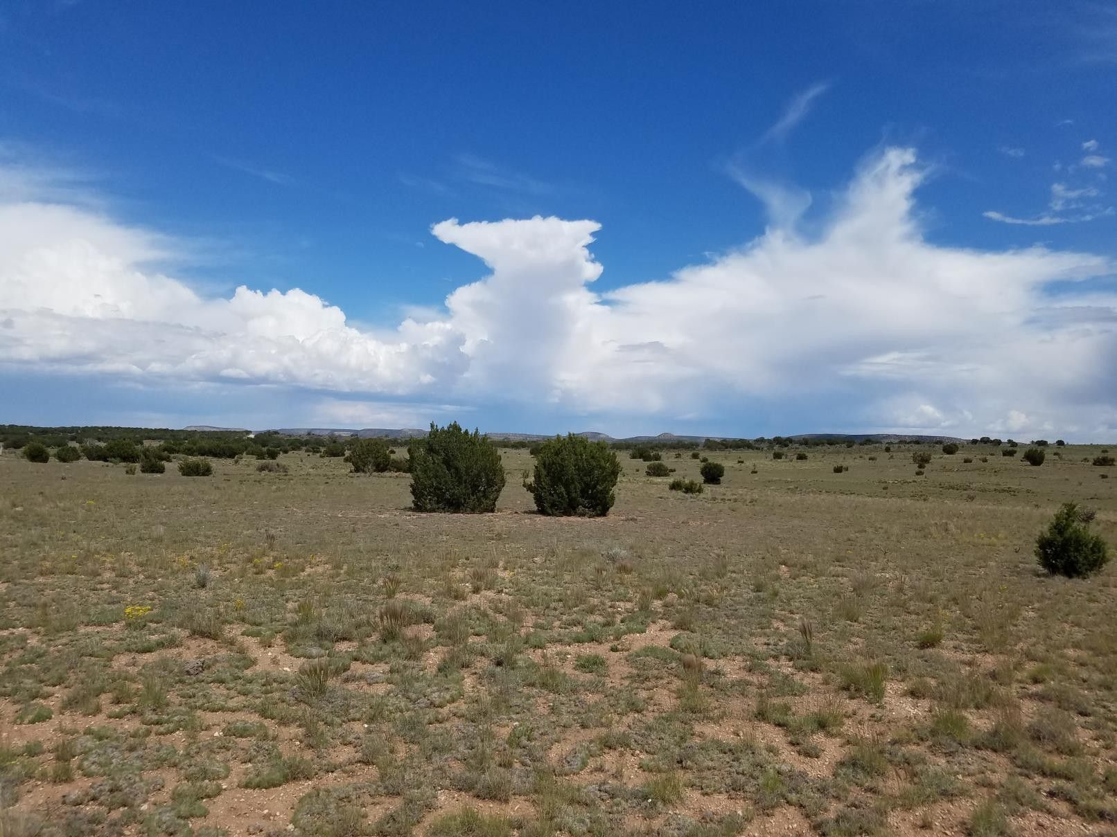 Mountainair, Torrance County, NM Undeveloped Land for sale Property ID