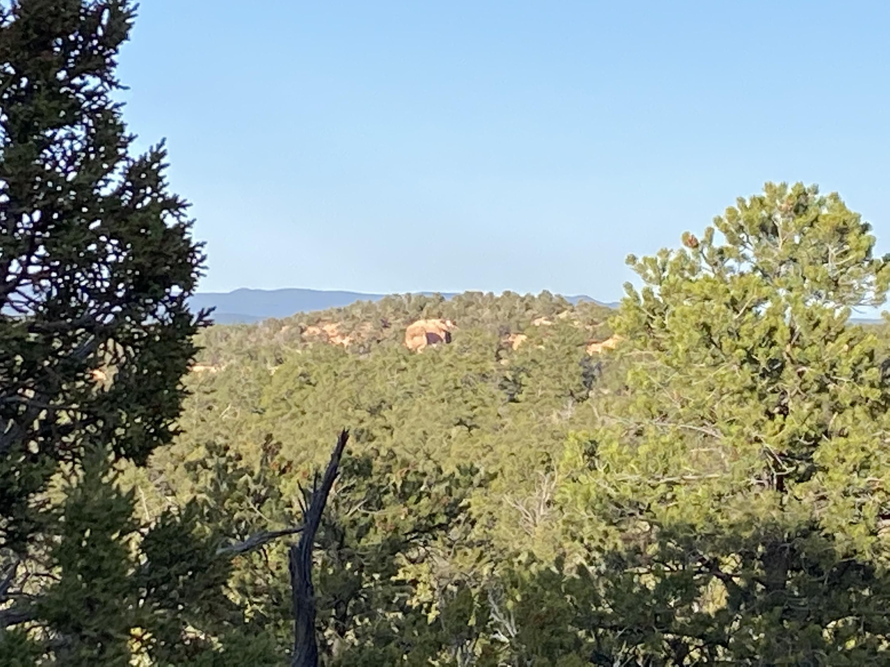 Ramah, Cibola County, NM Undeveloped Land for sale Property ID
