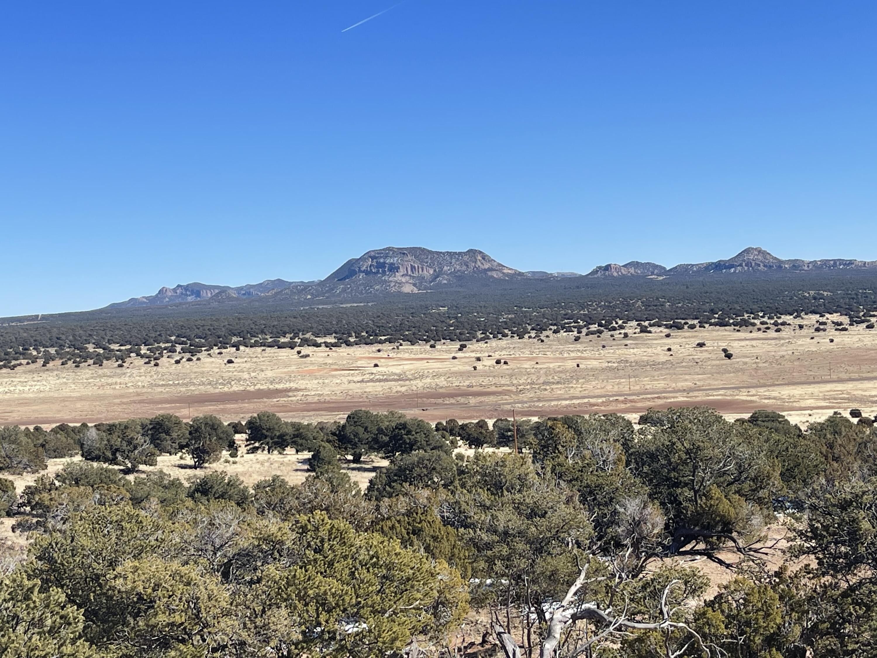 Pie Town, Catron County, NM Undeveloped Land for sale Property ID