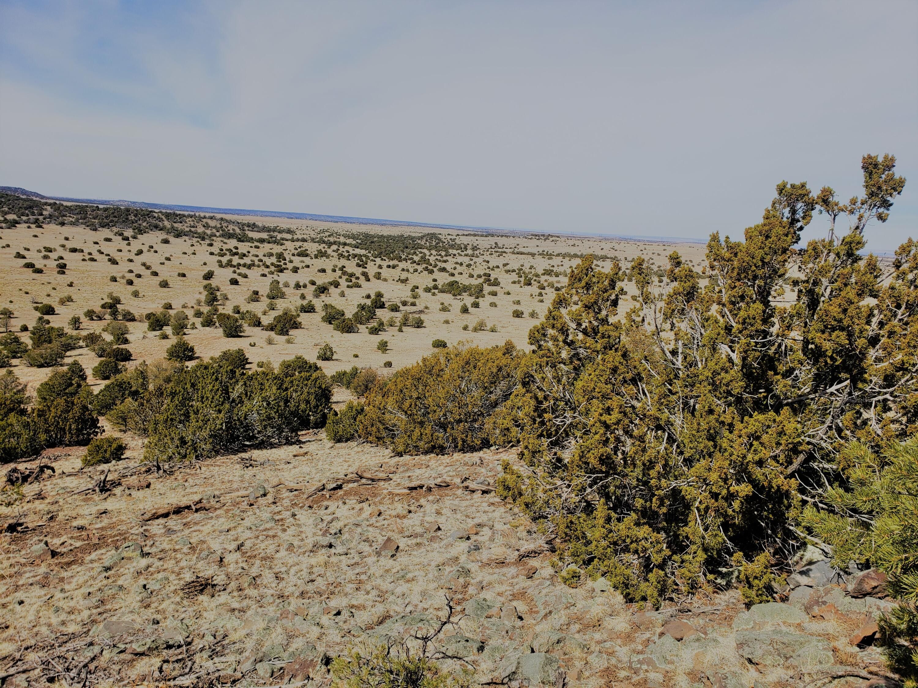 Quemado, Catron County, NM Undeveloped Land for sale Property ID 412957305 LandWatch