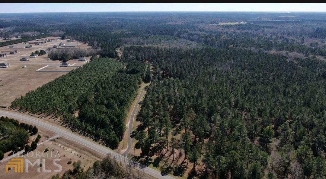 Statesboro, Bulloch County, GA Undeveloped Land for sale Property ID