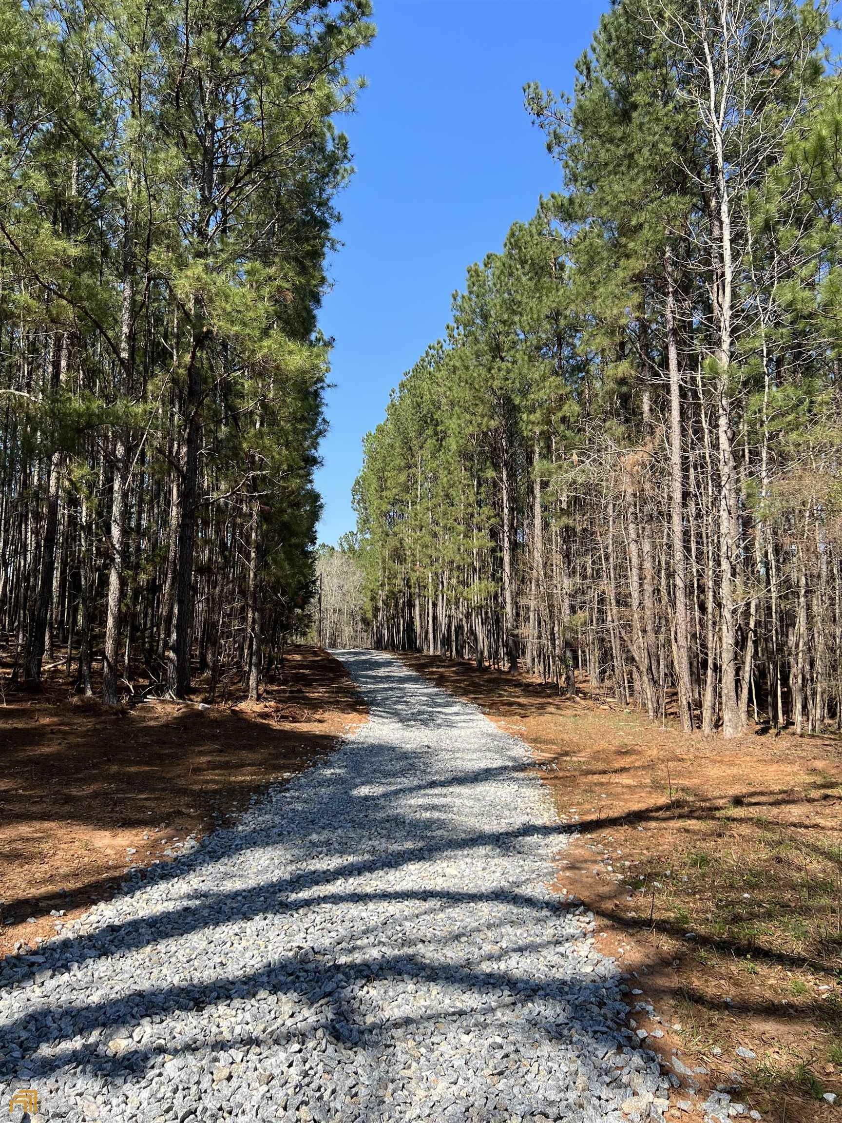 Locust Grove, Henry County, GA Undeveloped Land for sale Property ID