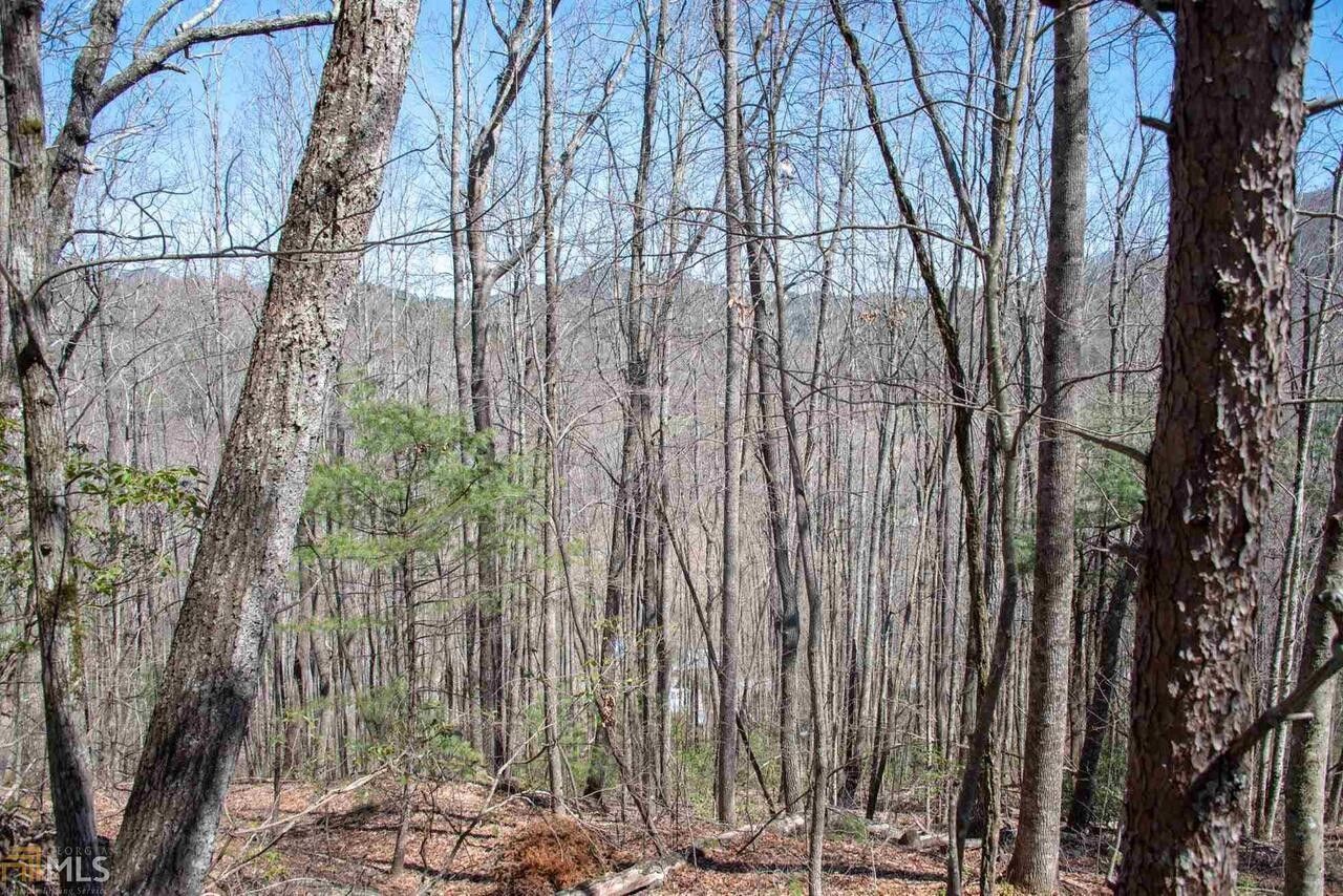 Clayton, Rabun County, GA Undeveloped Land, Homesites for sale Property