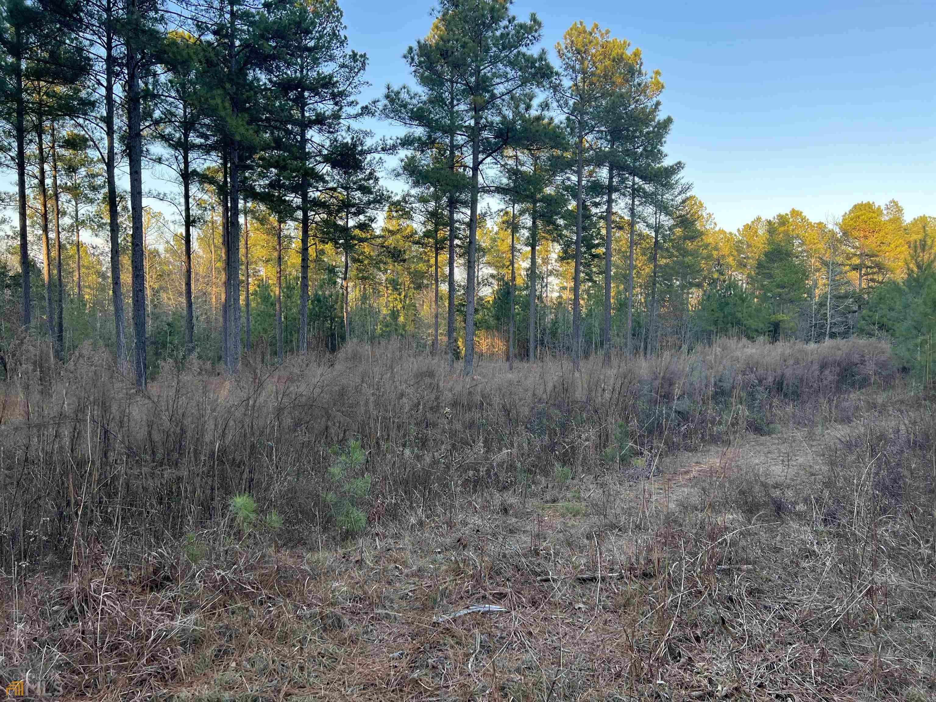 Elberton, Elbert County, GA Undeveloped Land, Homesites for sale